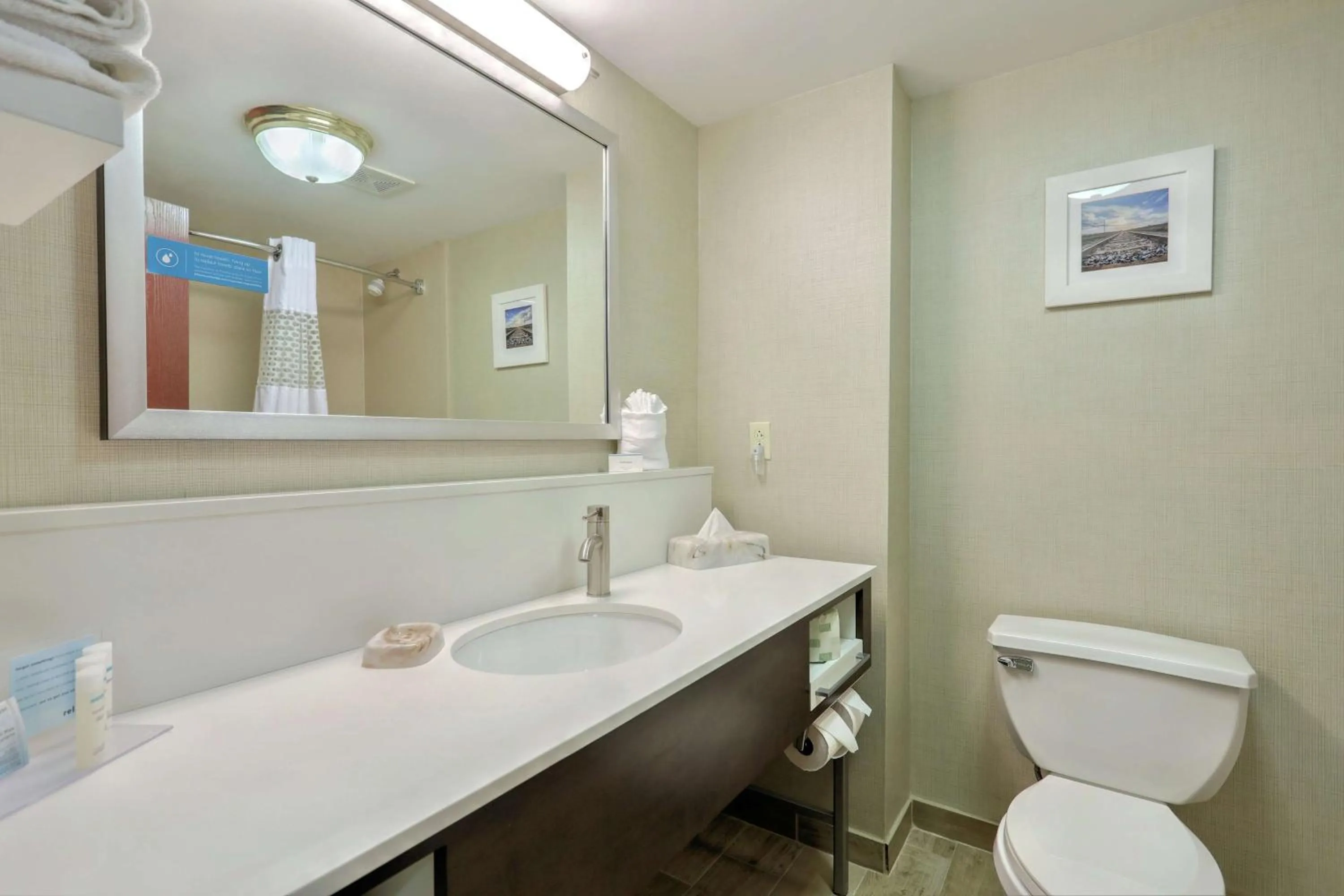 Bathroom in Hampton Inn Batavia