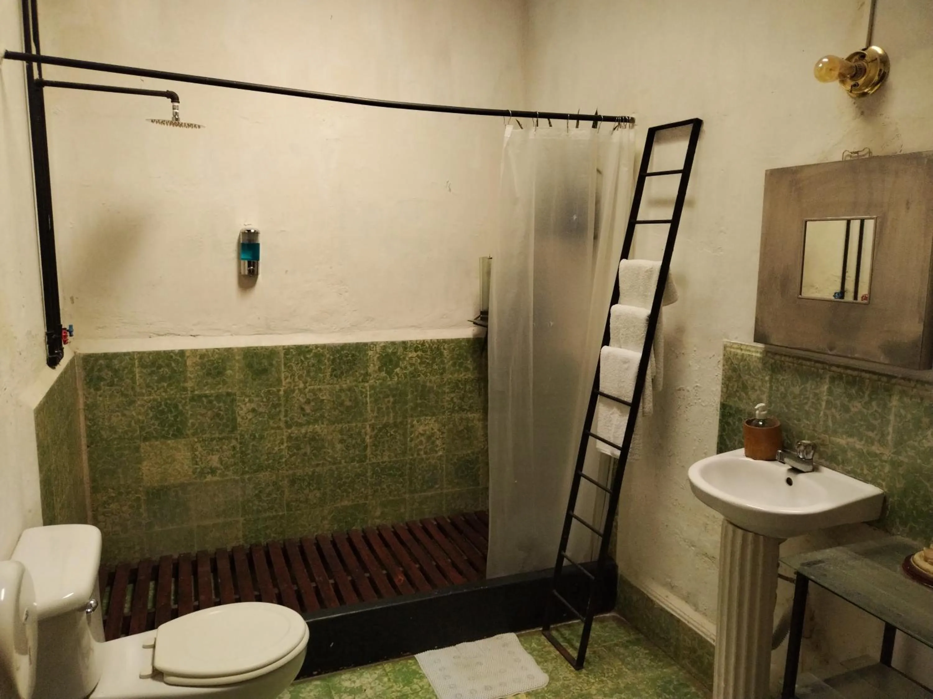 Shower in Hotel Casa Chapultepec