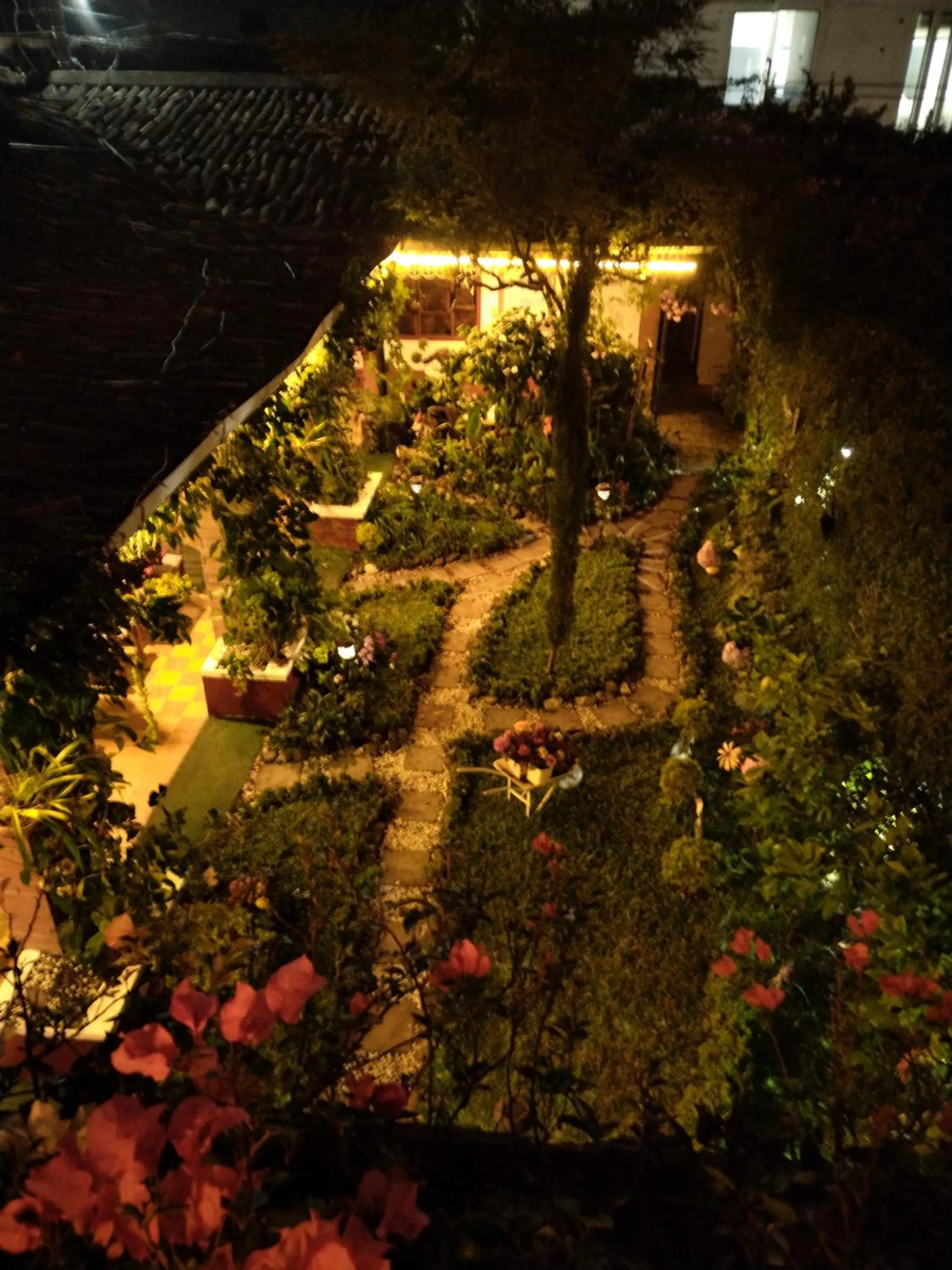 Garden view in Hotel Casa Chapultepec