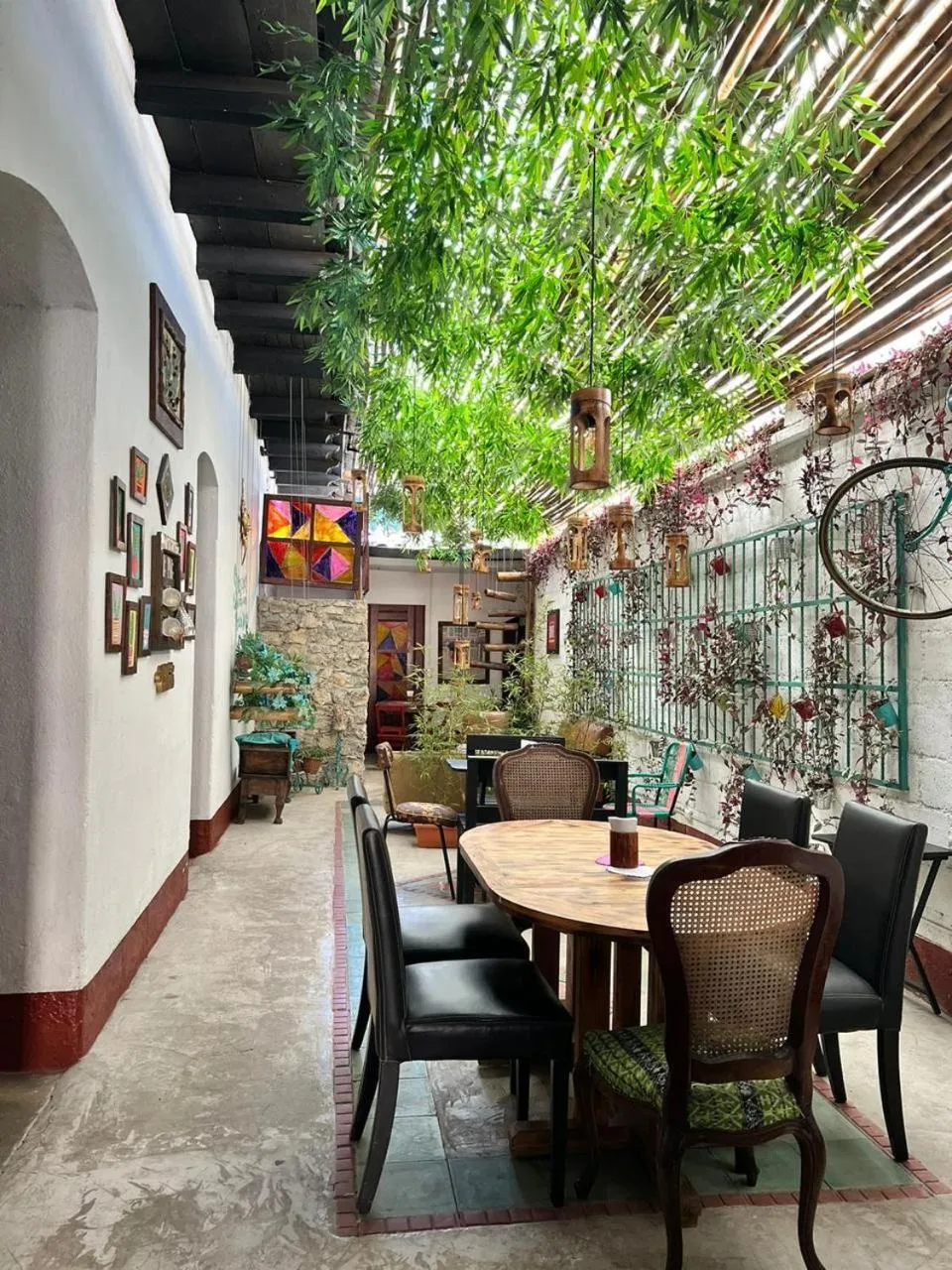 Restaurant/places to eat in Hotel Casa Chapultepec