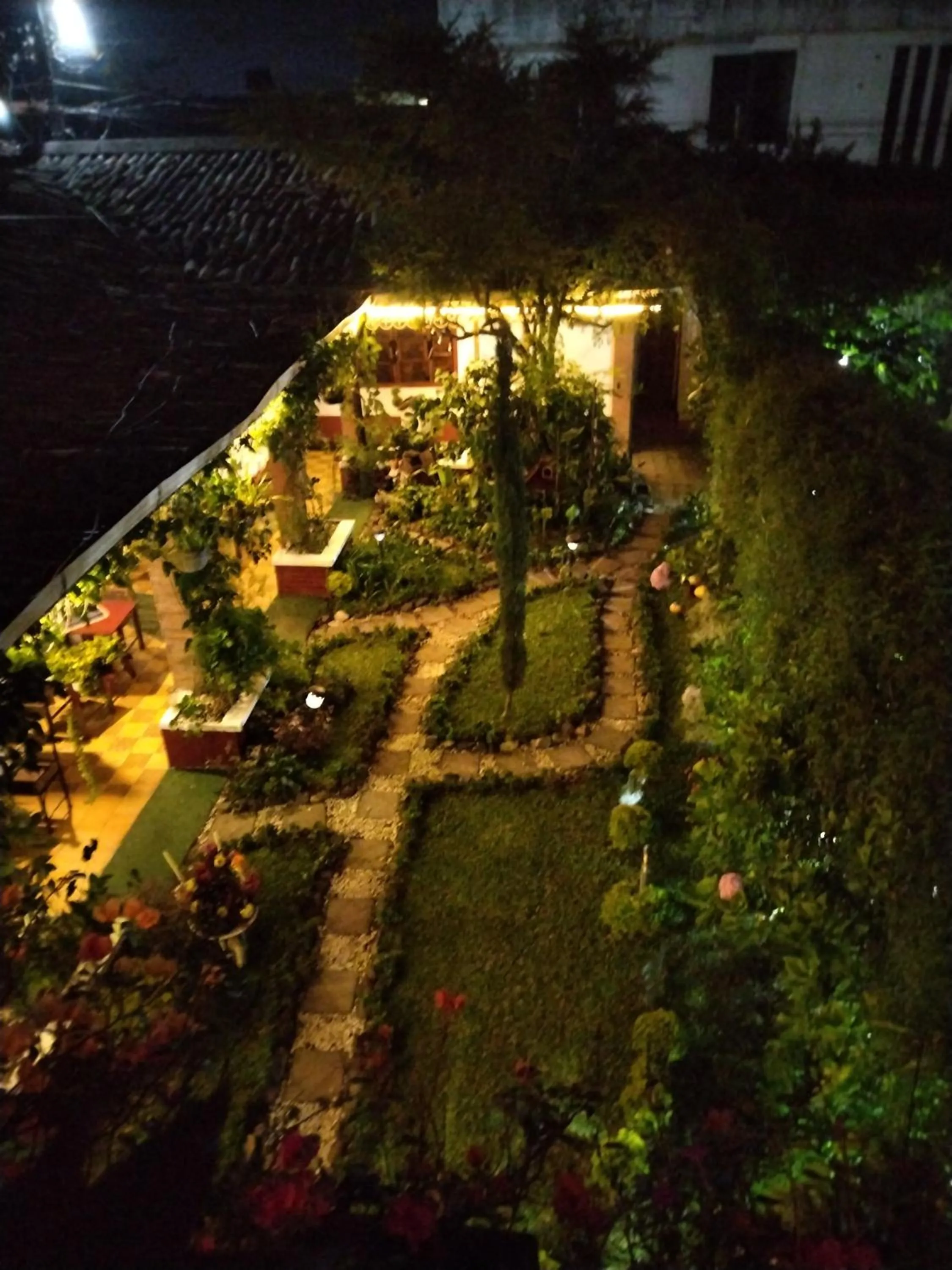 Night in Hotel Casa Chapultepec