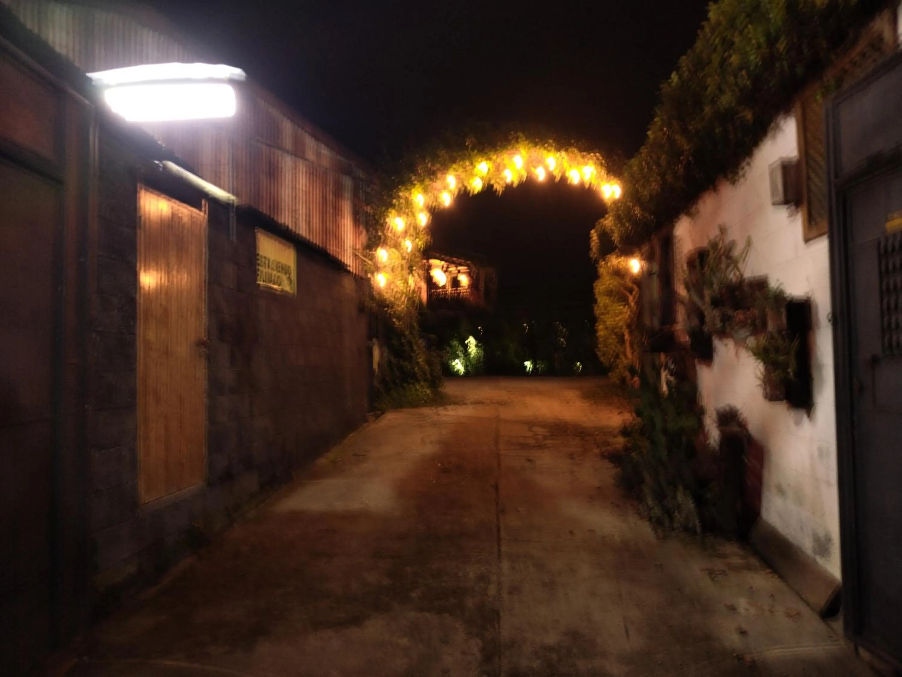 Night in Hotel Casa Chapultepec