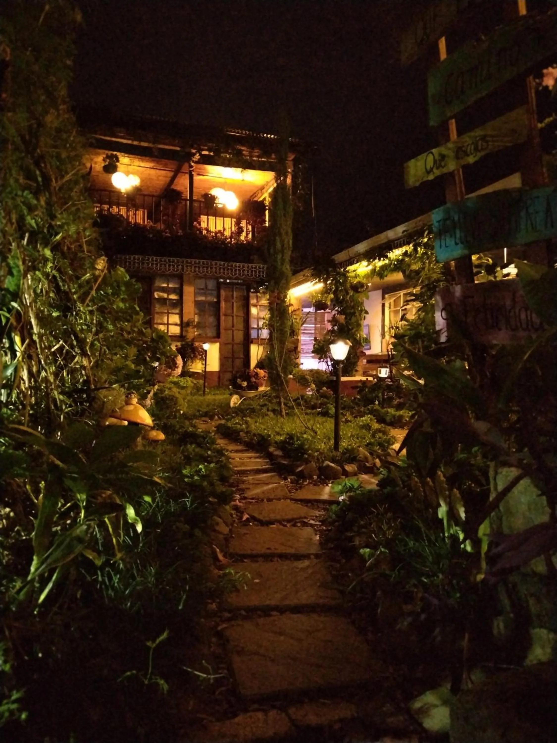Garden view in Hotel Casa Chapultepec