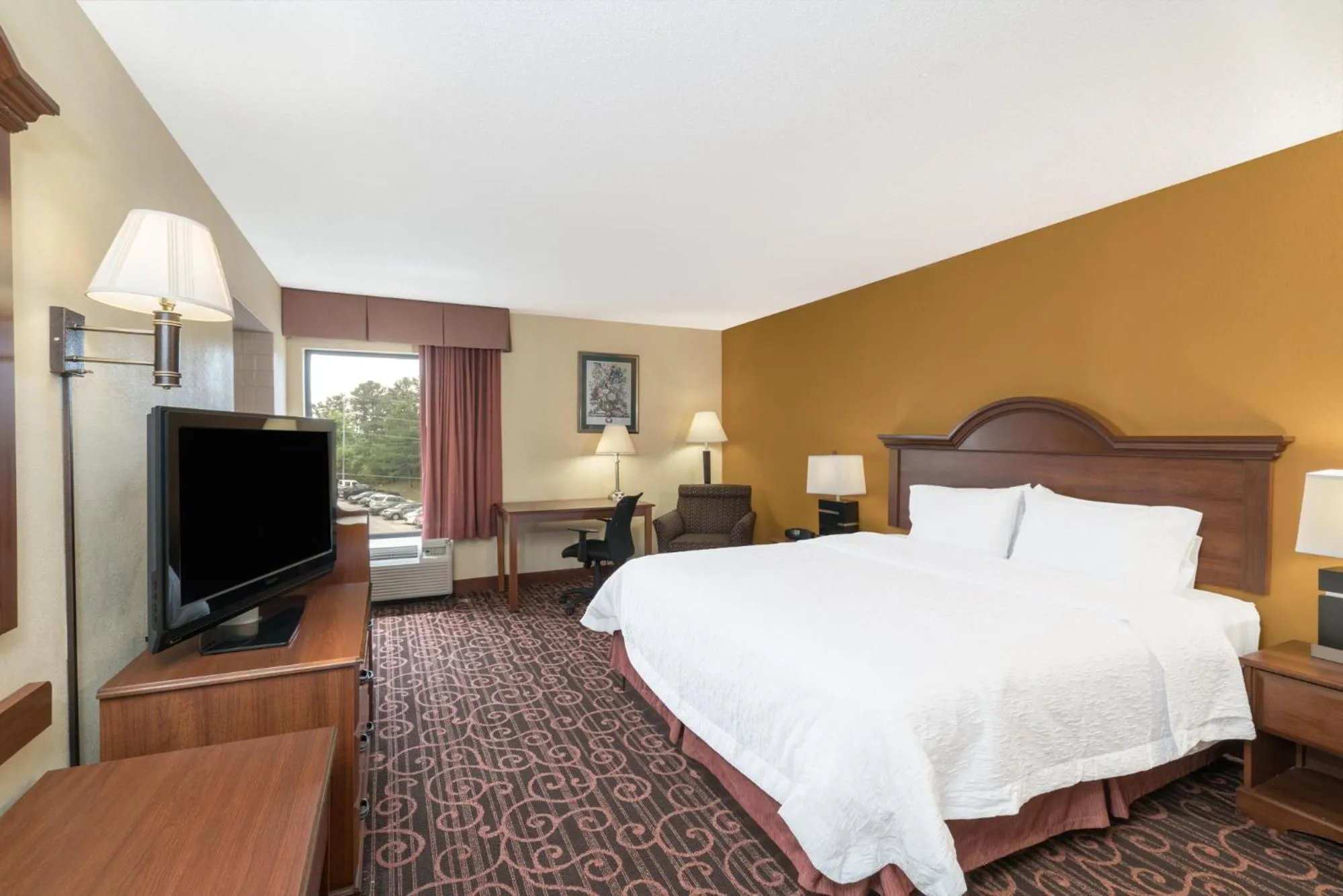 King Room with Spa Bath - Non-Smoking in Hamilton Inn Birmingham-Bessemer