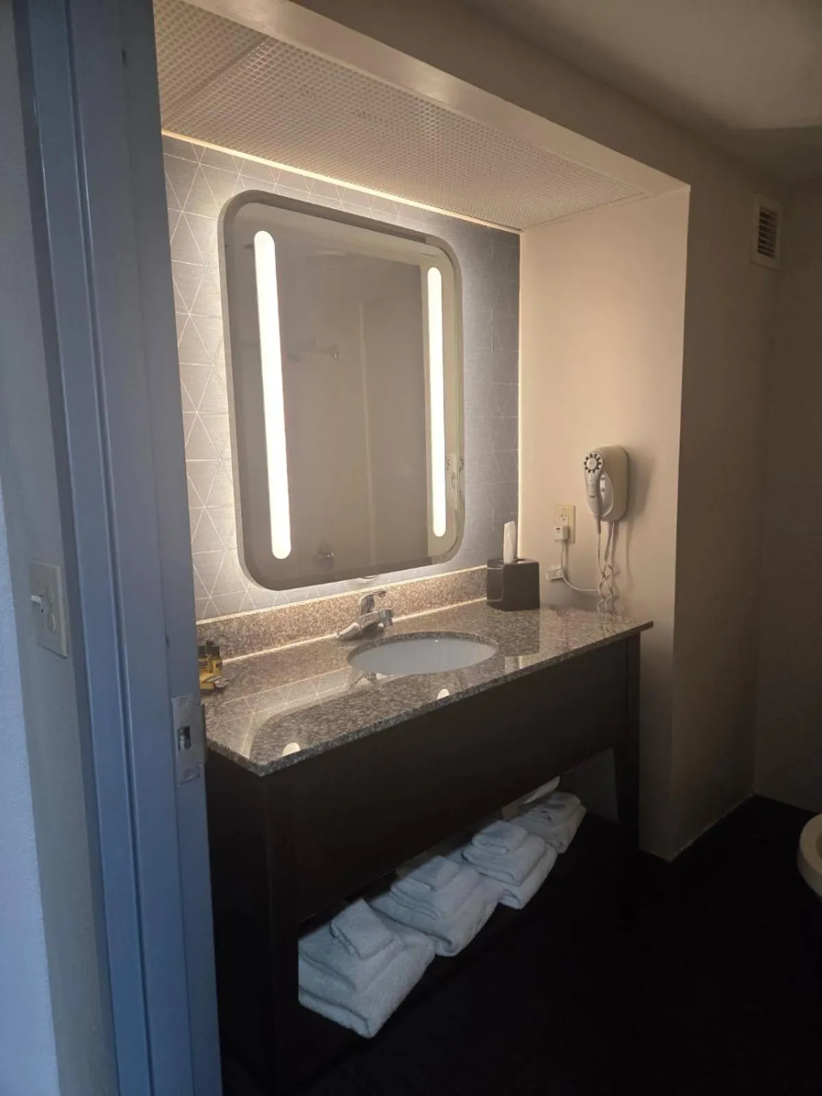 Bathroom in Hamilton Inn Birmingham-Bessemer