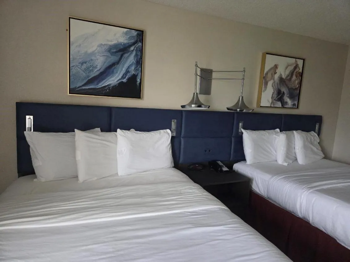 Guests, Bed in Hamilton Inn Birmingham-Bessemer