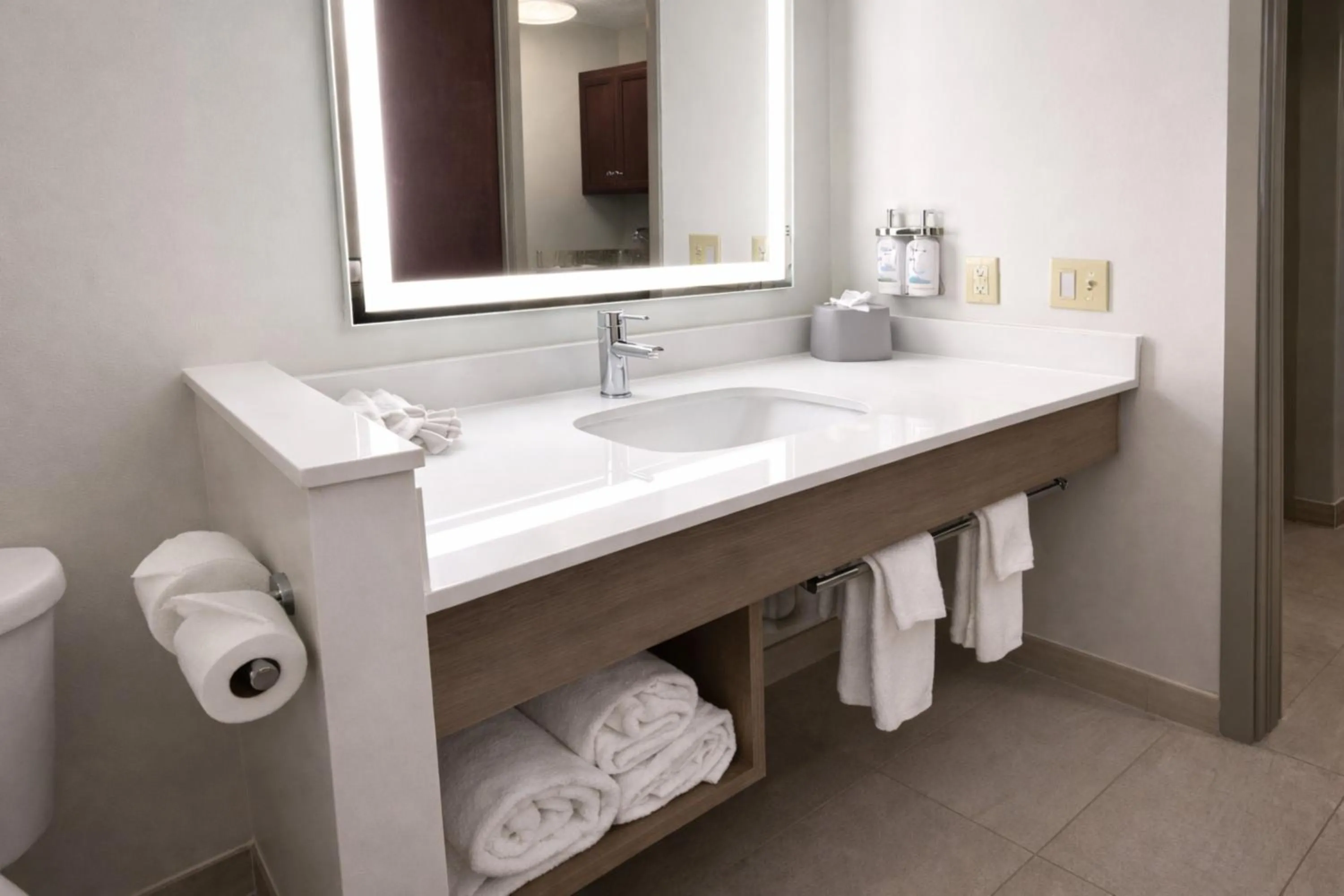Bathroom in Holiday Inn Express Hotel & Suites St. Paul - Woodbury by IHG