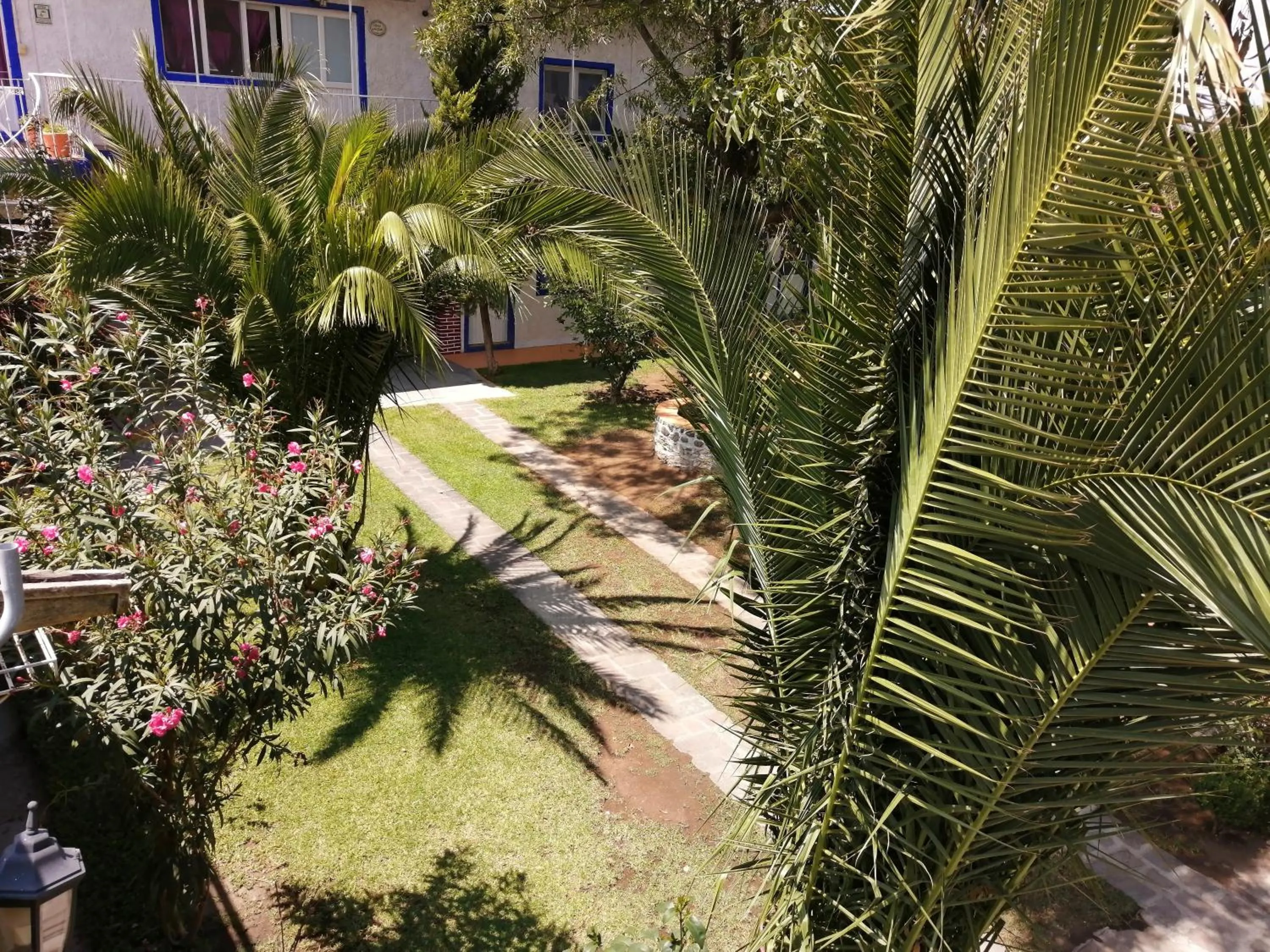 Off site, Pool View in Hotel Elohim by Rotamundos