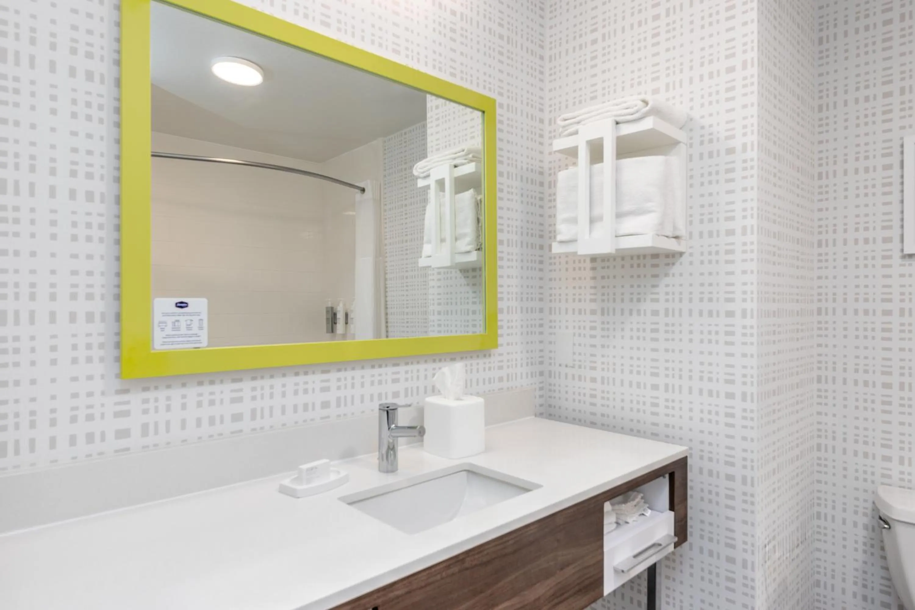 Bathroom in Hampton Inn and Suites Lake Jackson-Clute