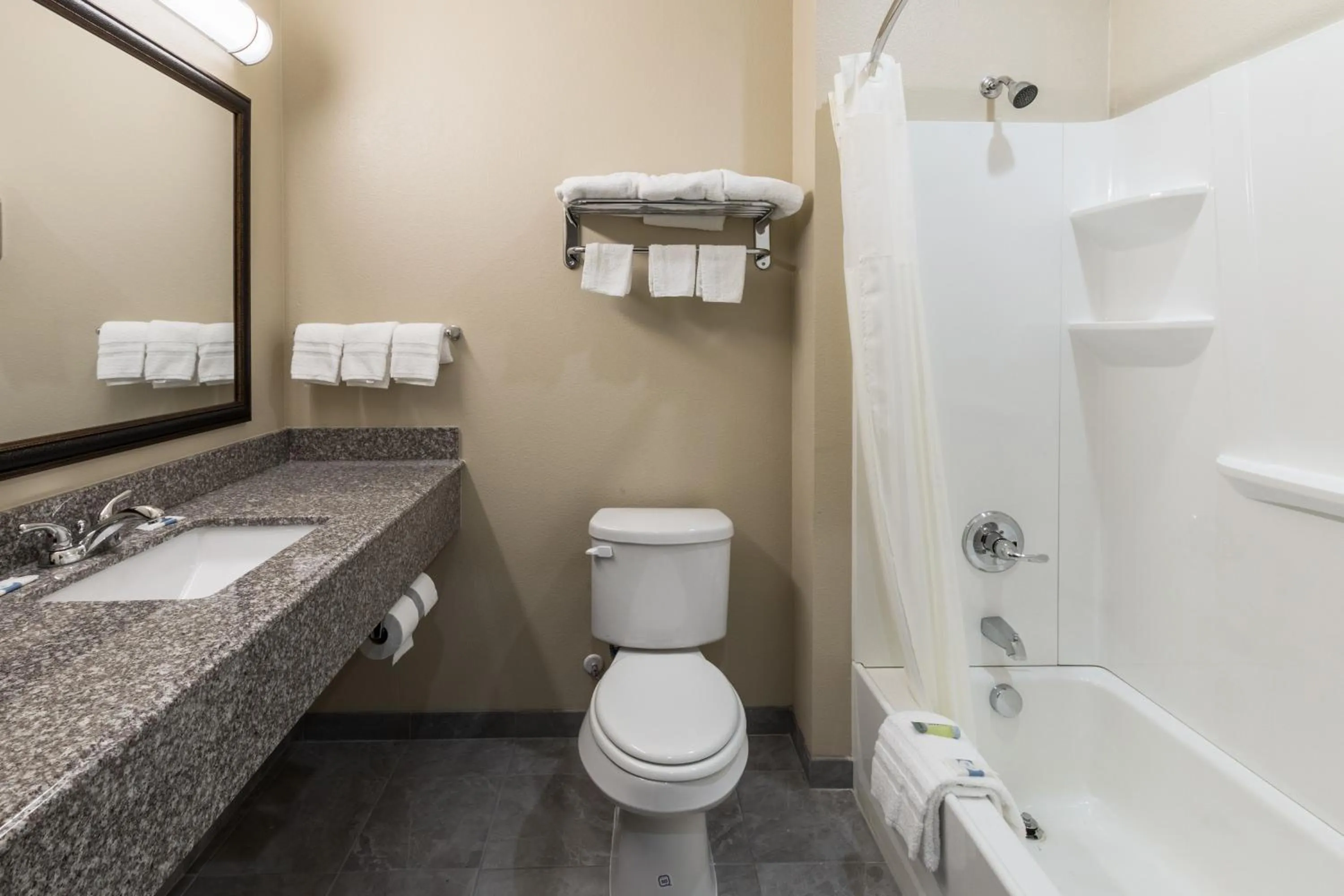 Bathroom in Scottish Inns & Suites