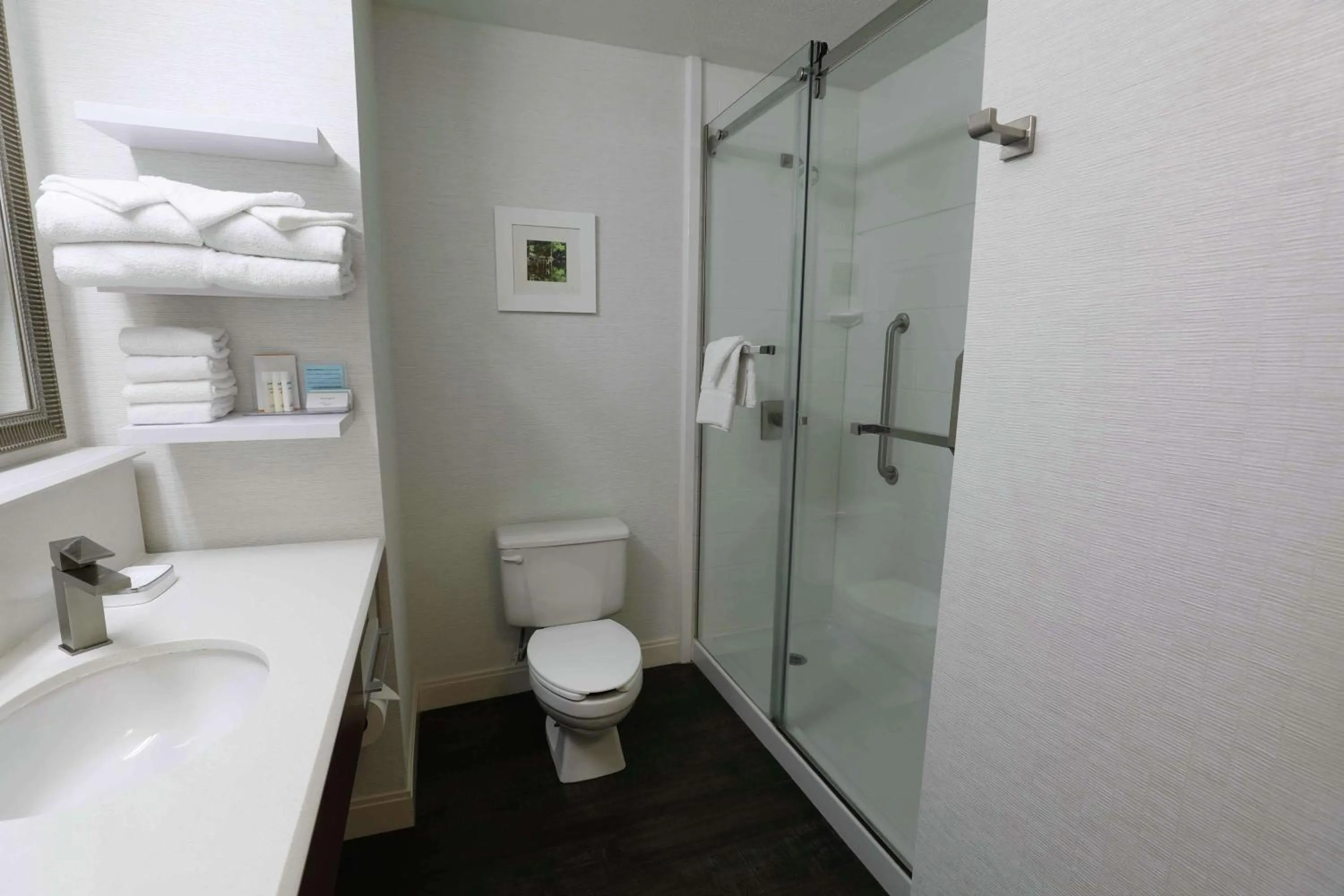 Bathroom in Hampton Inn Dyersburg