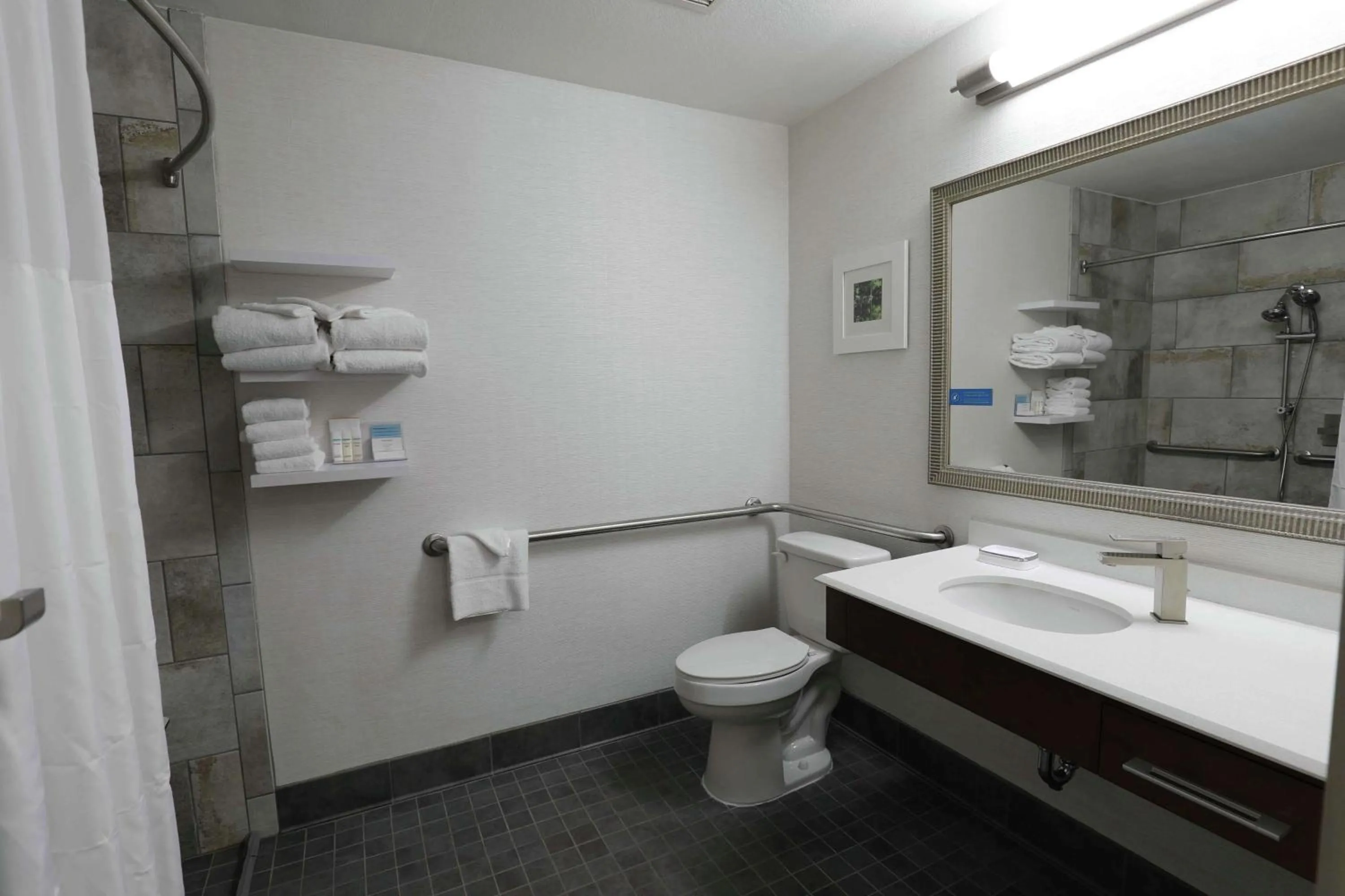 Bathroom in Hampton Inn Dyersburg