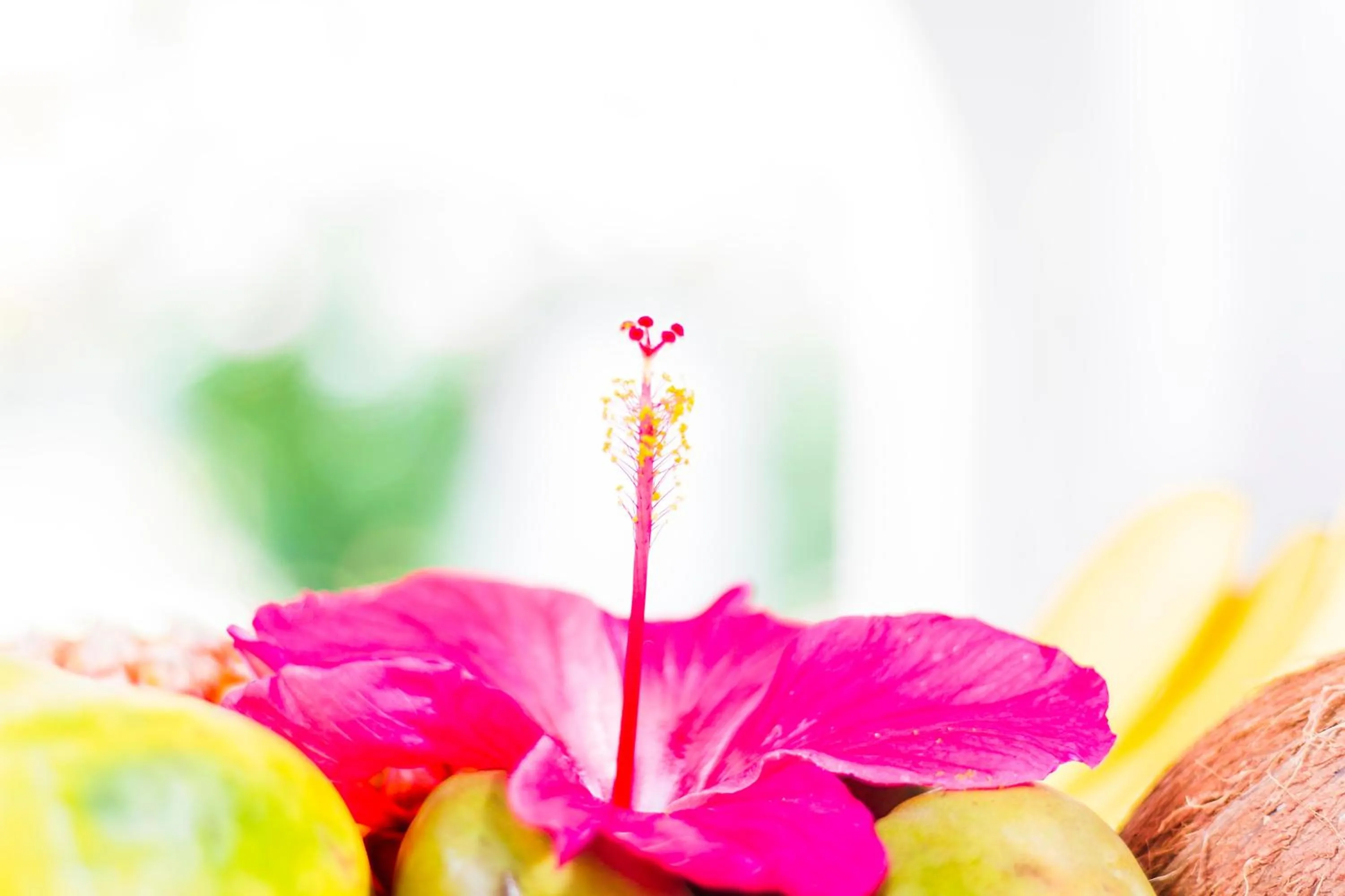 Bequia Beach Hotel - Luxury Boutique Resort