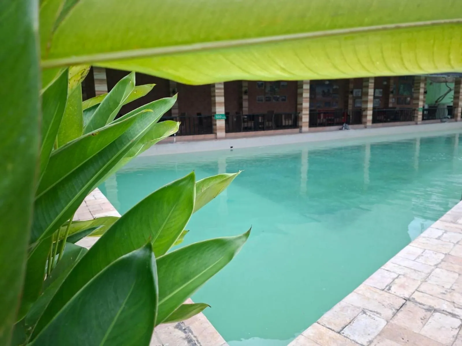 Swimming pool in Meotel Purwokerto
