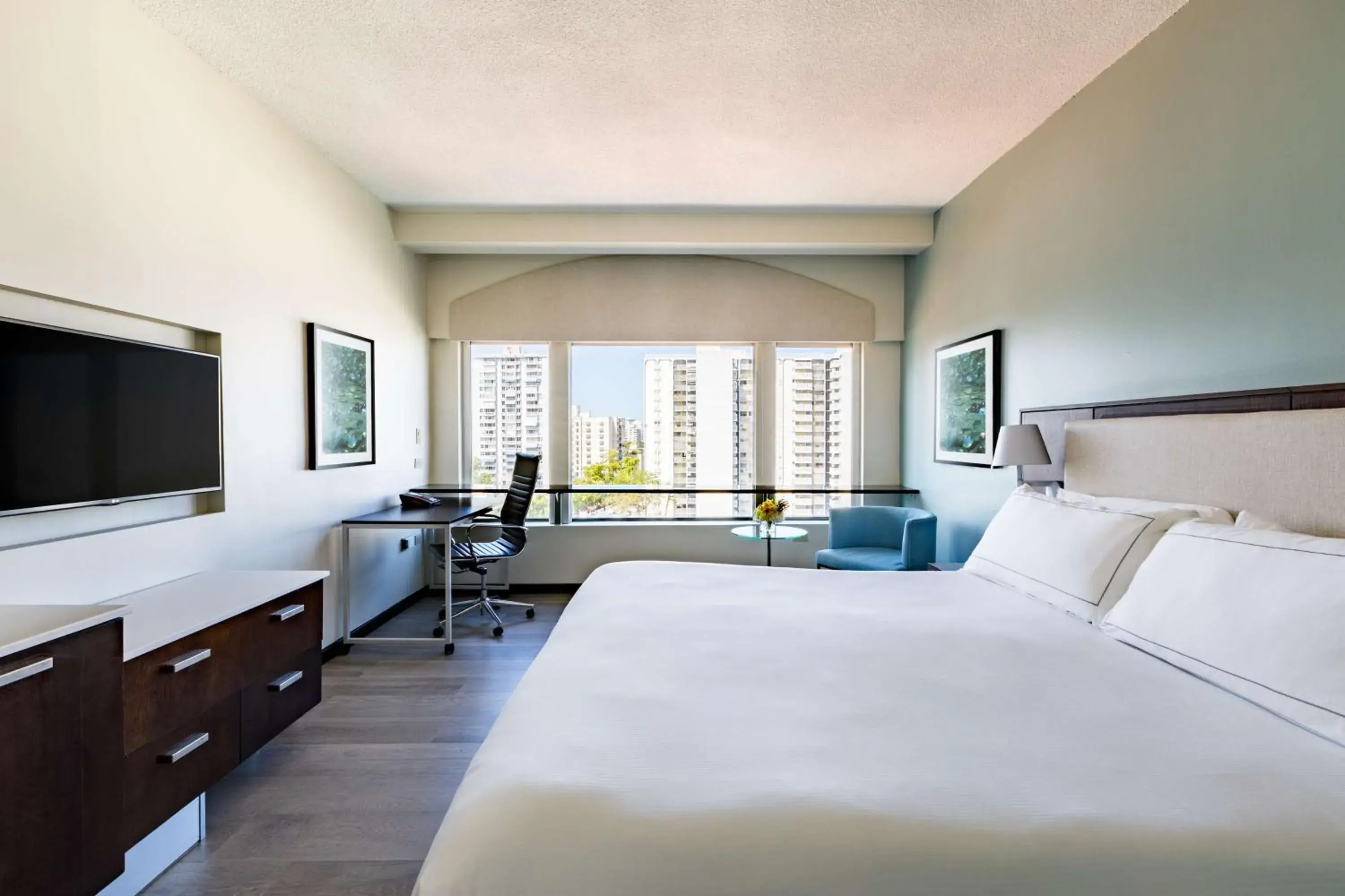 Queen Room in DoubleTree by Hilton San Juan Queen Room in DoubleTree by Hilton San Juan