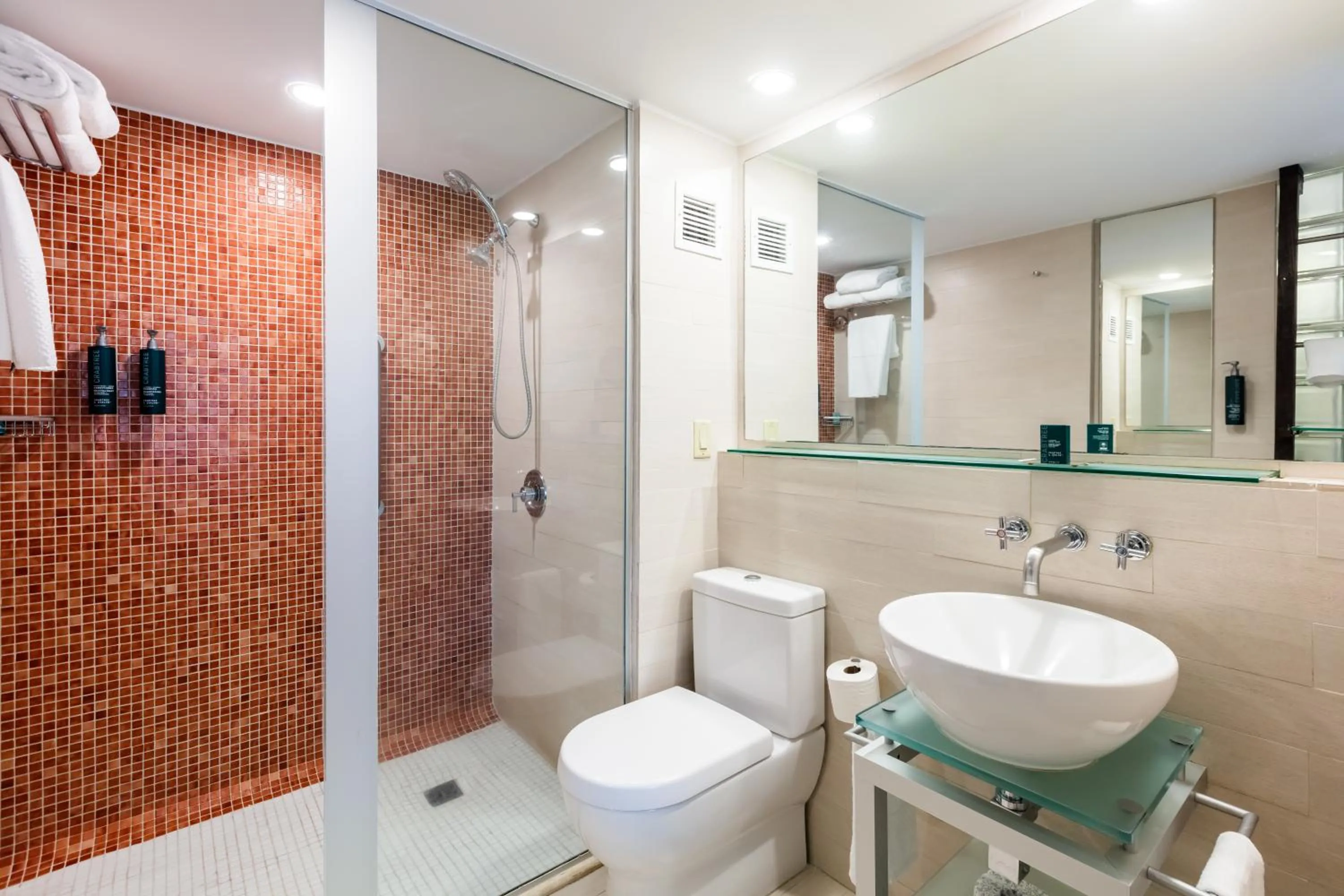 Bathroom in DoubleTree by Hilton San Juan