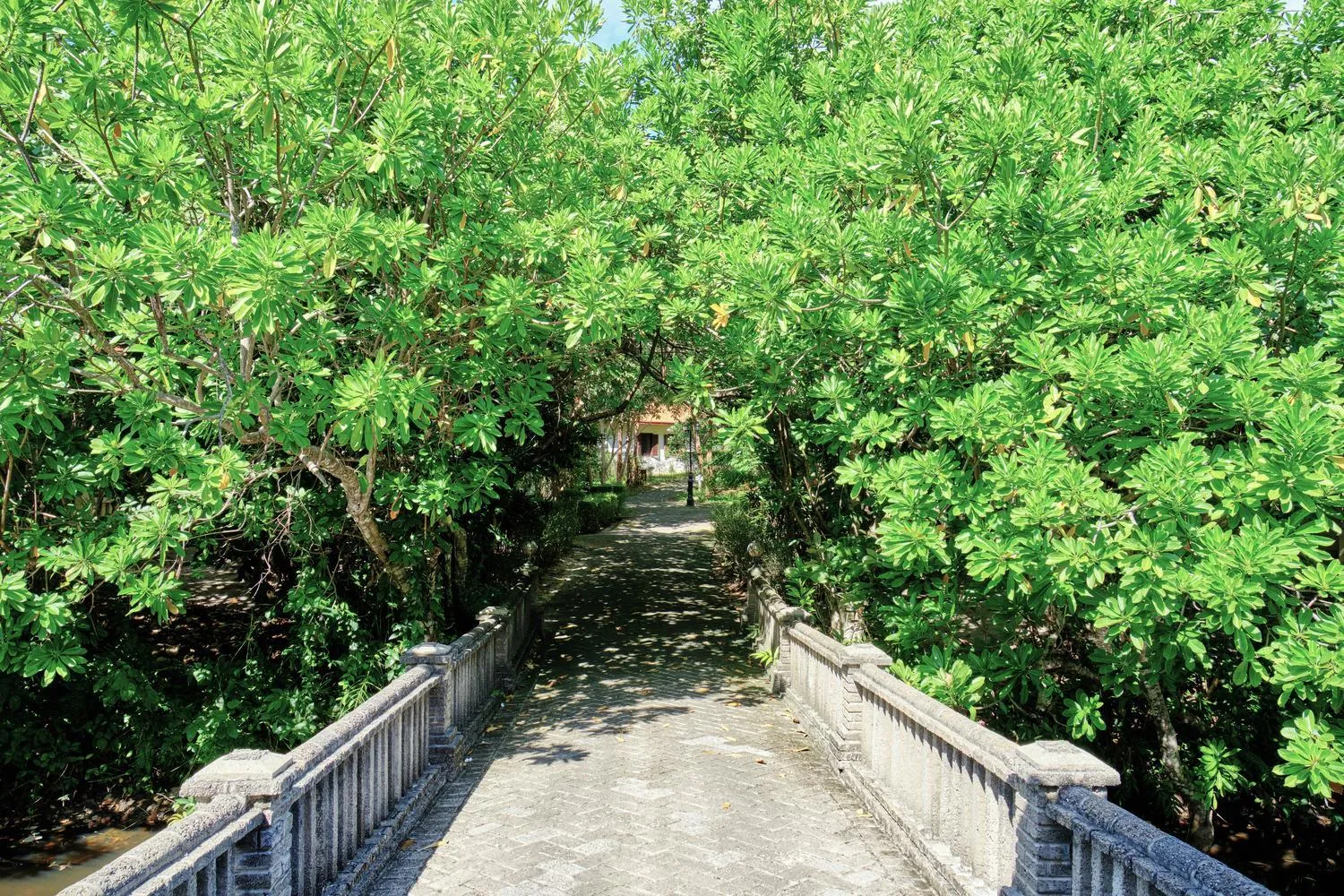 Natural landscape in Poulo Condor Boutique Resort & Spa