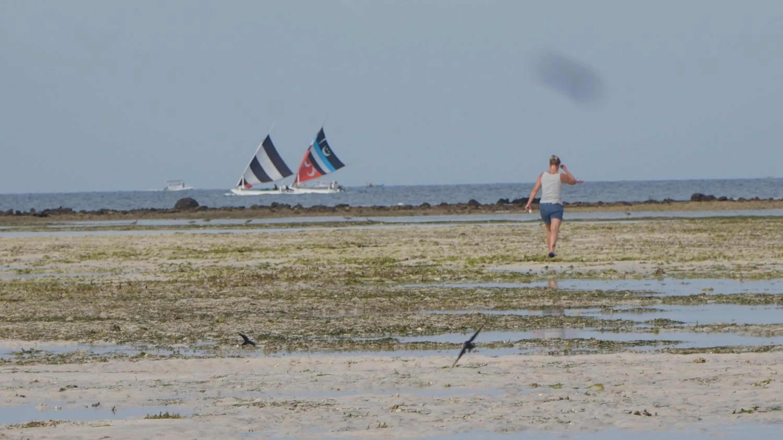 Activities in Mola2 Resort Gili Air