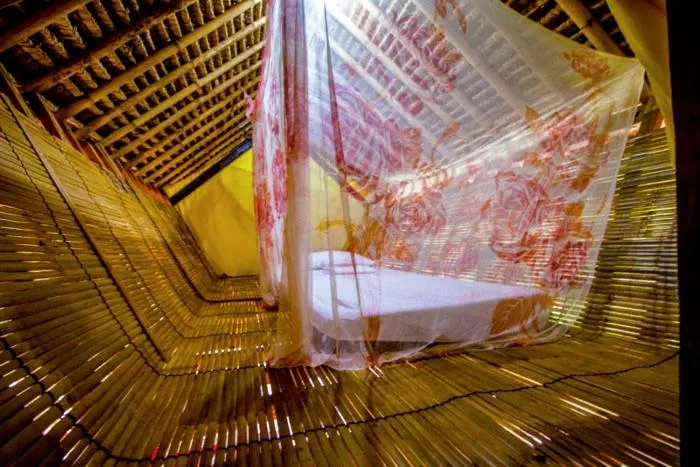 The Rabbit Tree Hostel