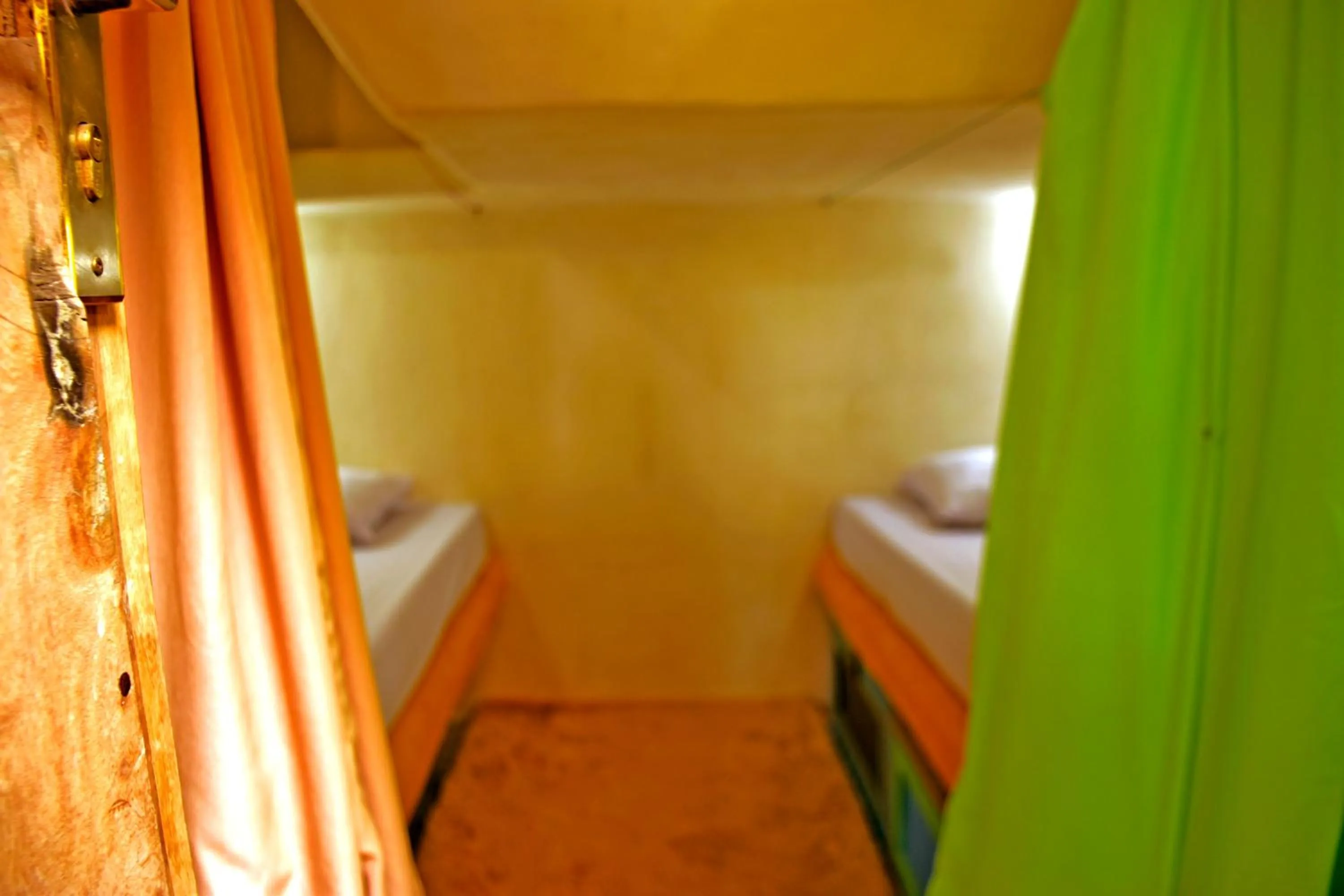 Bed in The Rabbit Tree Hostel