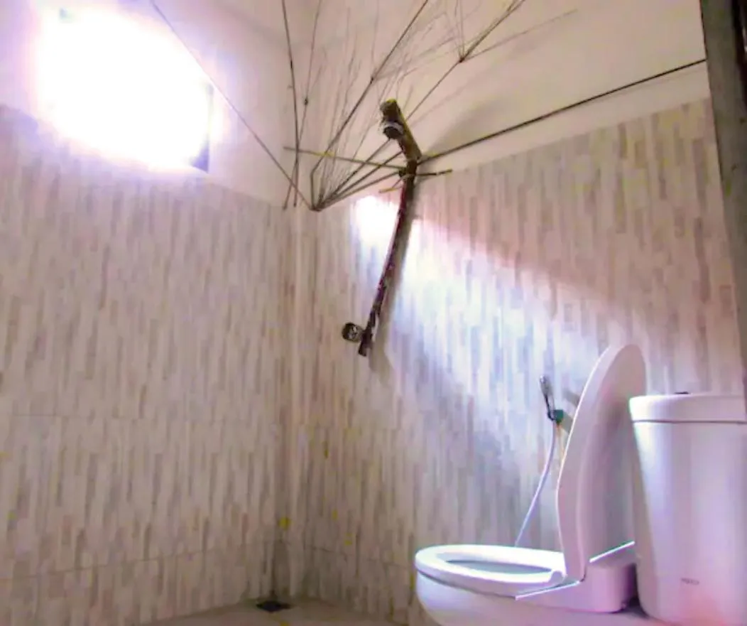 The Rabbit Tree Hostel