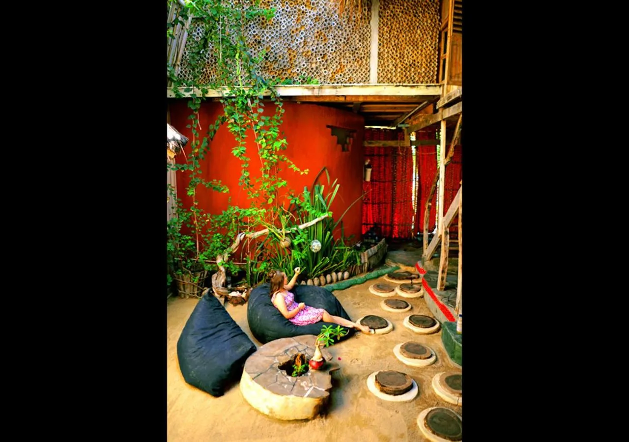 Garden in The Rabbit Tree Hostel