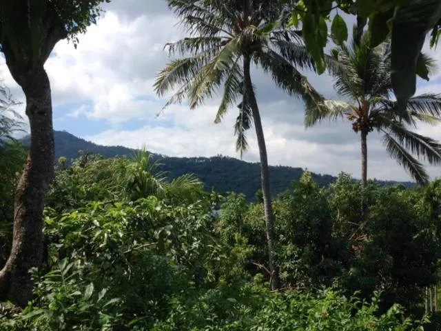 Mountain view in Kebun Rohani Cottages