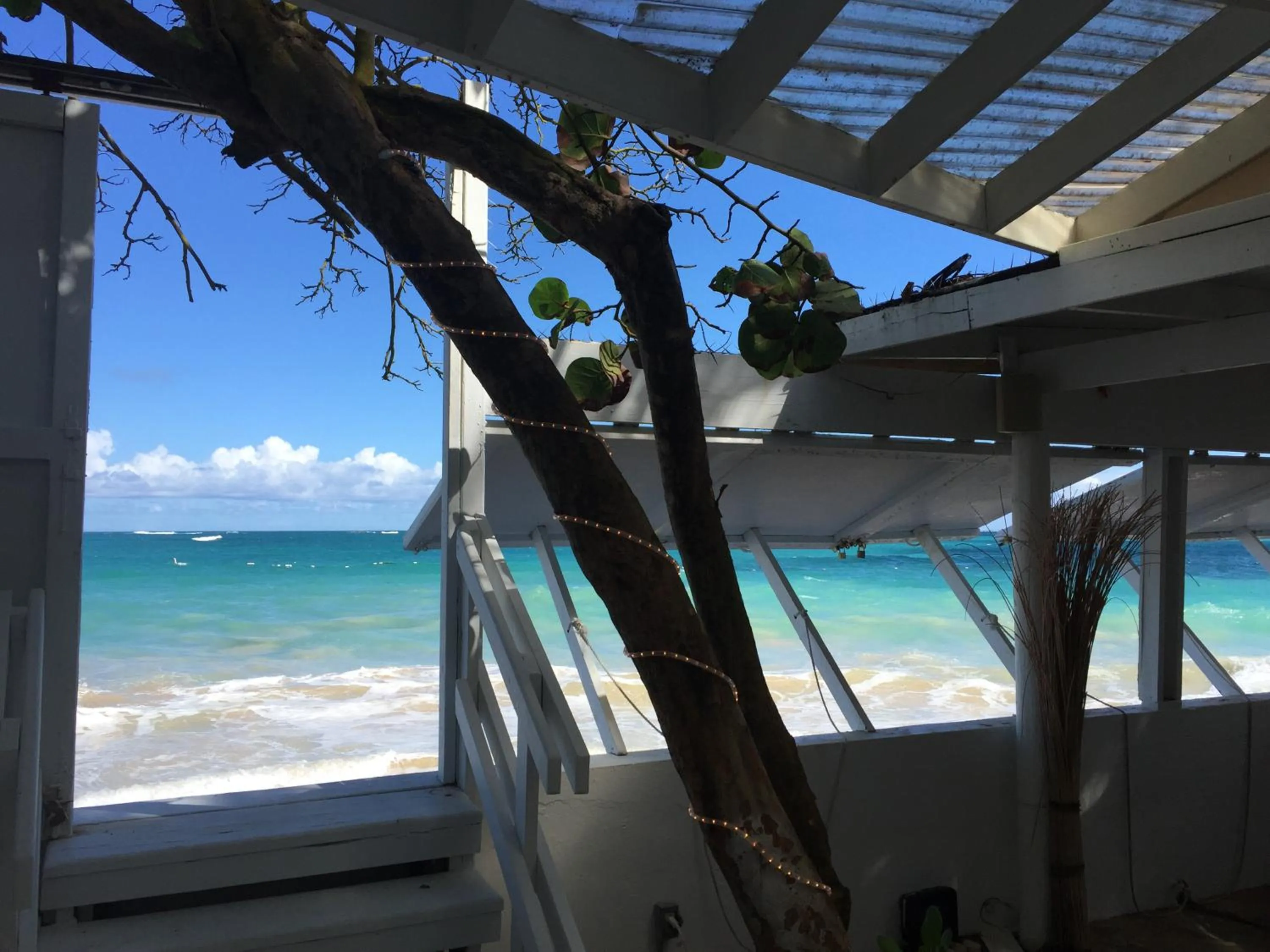 Lounge or bar in Hosteria del Mar