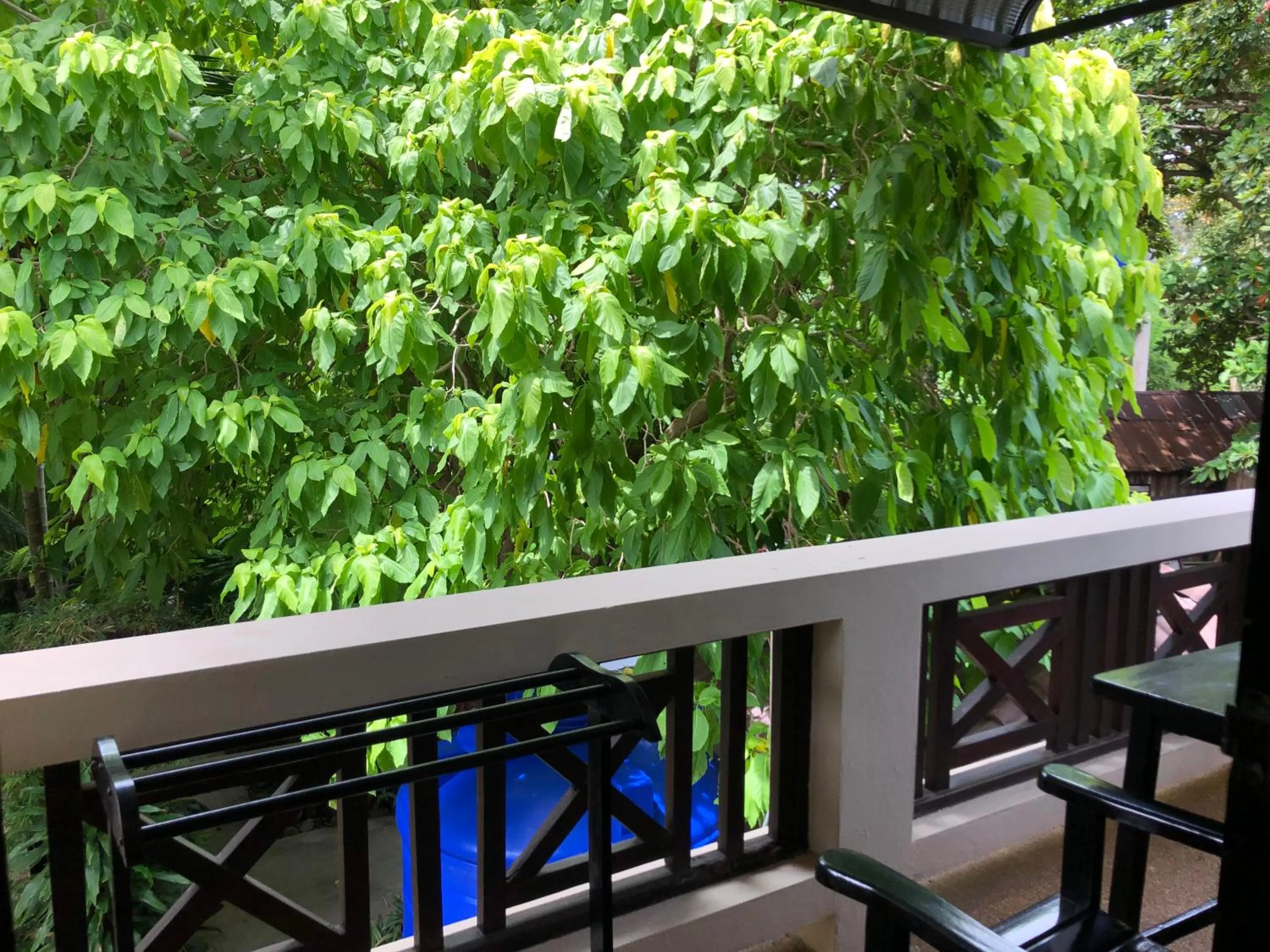 Balcony/Terrace in Aumpai Luxury