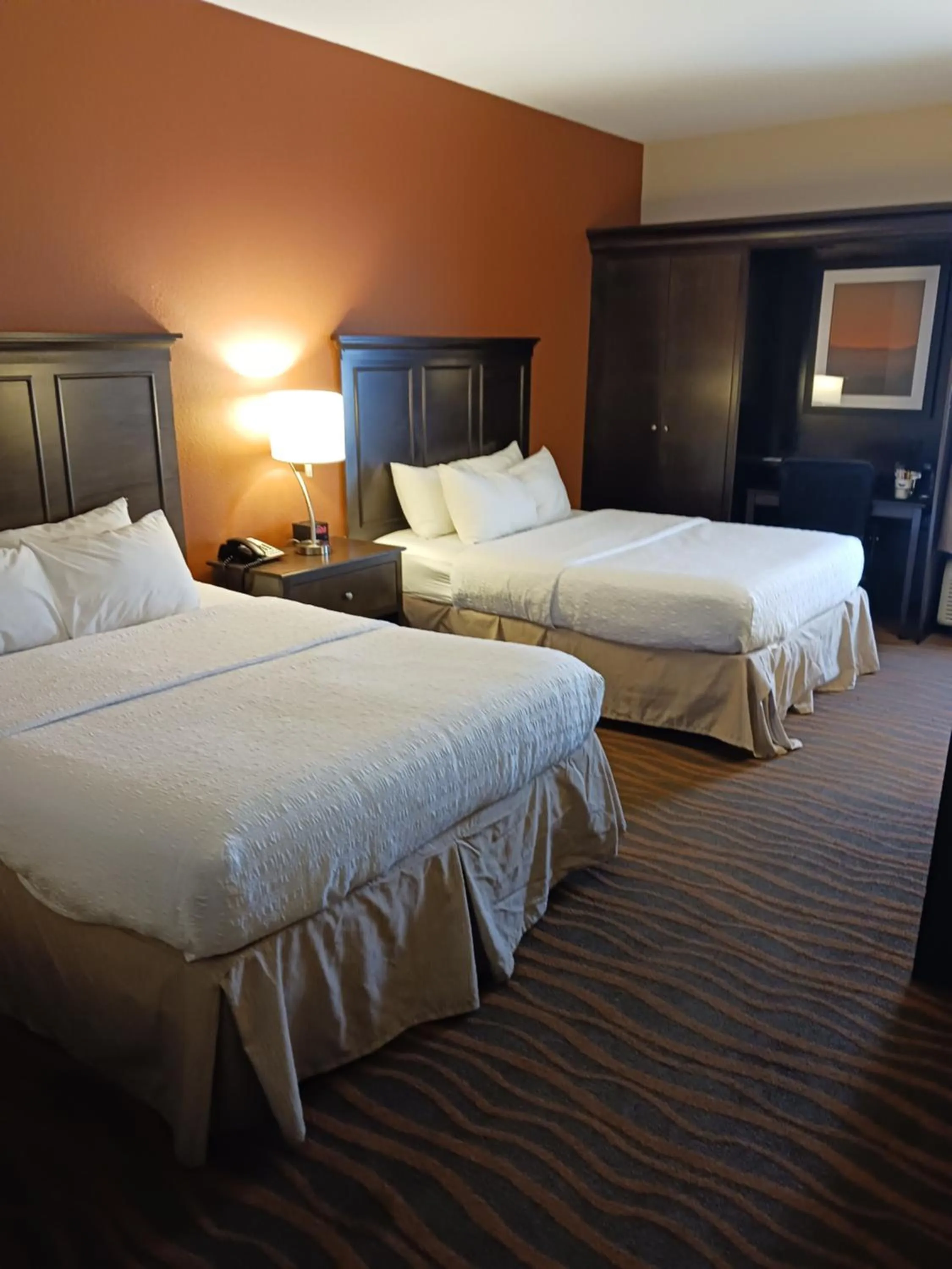 Photo of the whole room, Bed in Hampton Inn by Hilton Clarksville