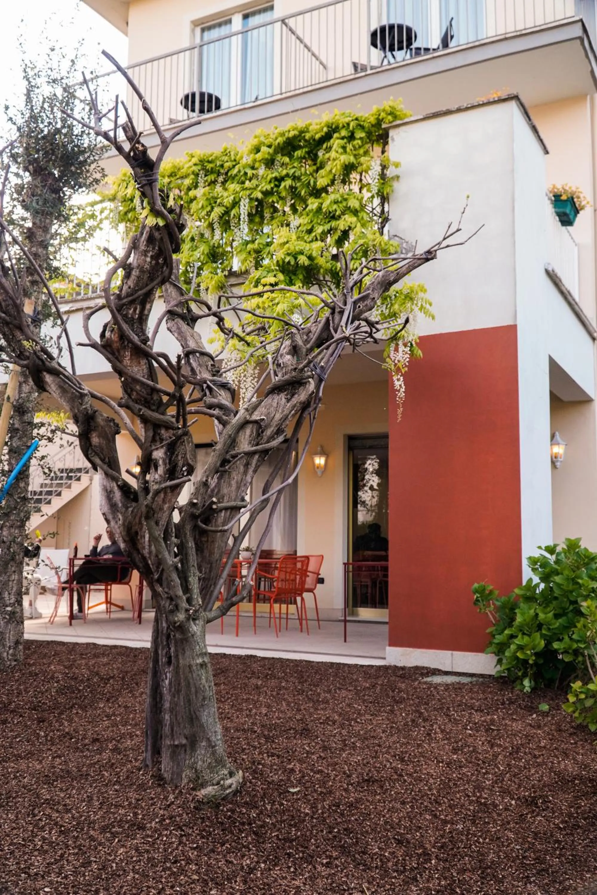 Garden view in Hotel Arya by Mauro