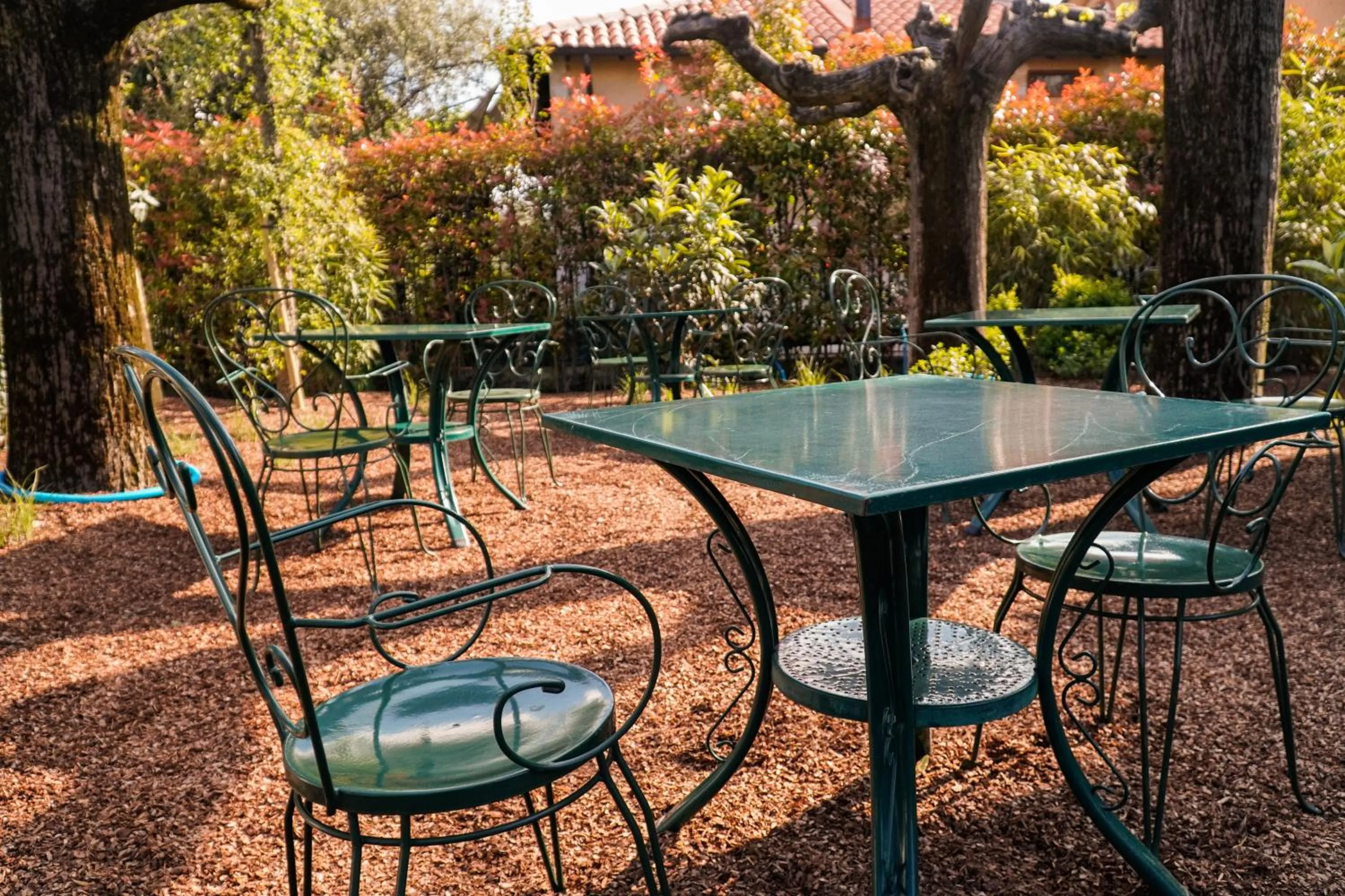 Garden view in Hotel Arya by Mauro