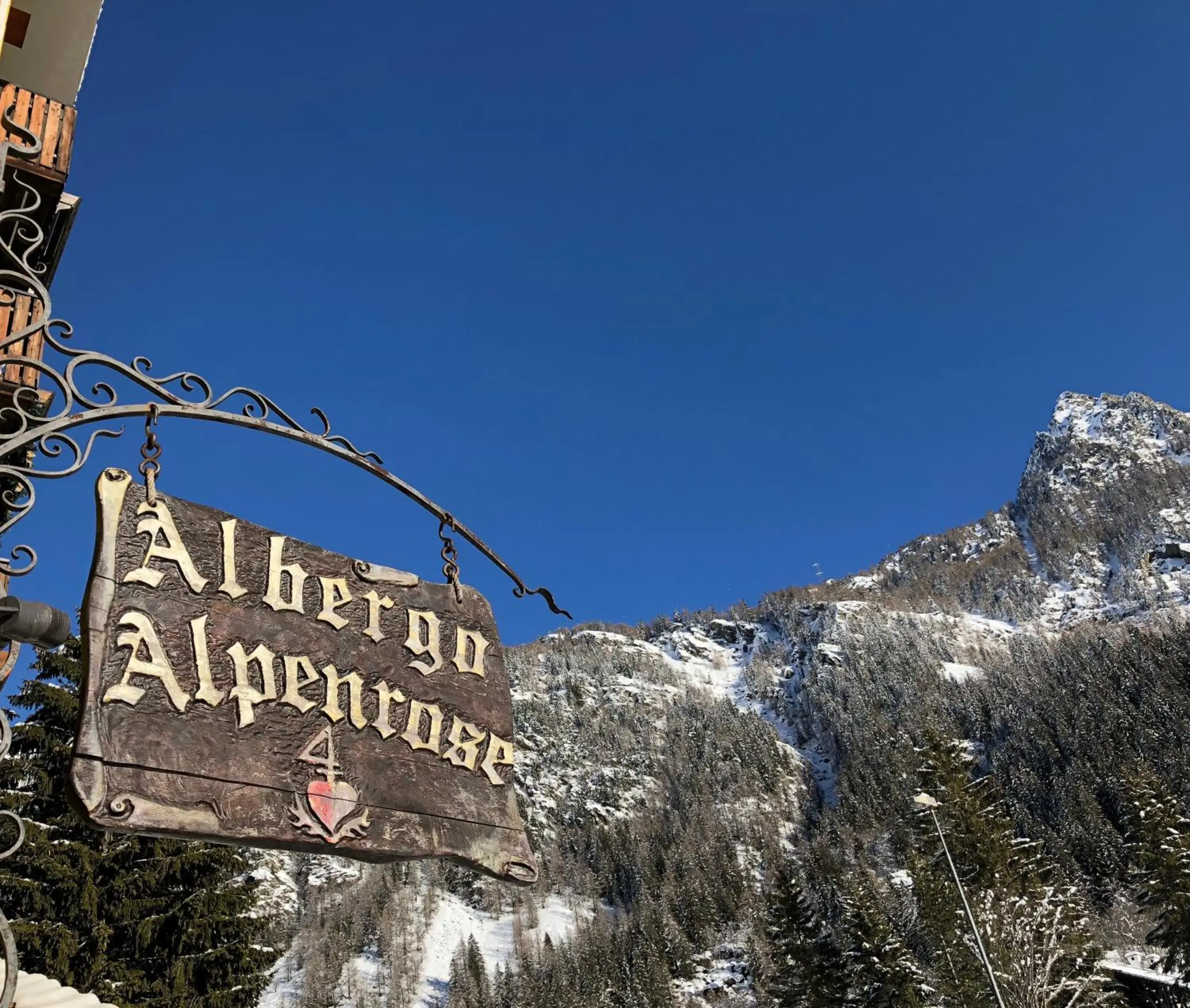 Albergo Alpenrose Ski&Bike Mountain Hotel Albergo Alpenrose Ski&Bike Mountain Hotel