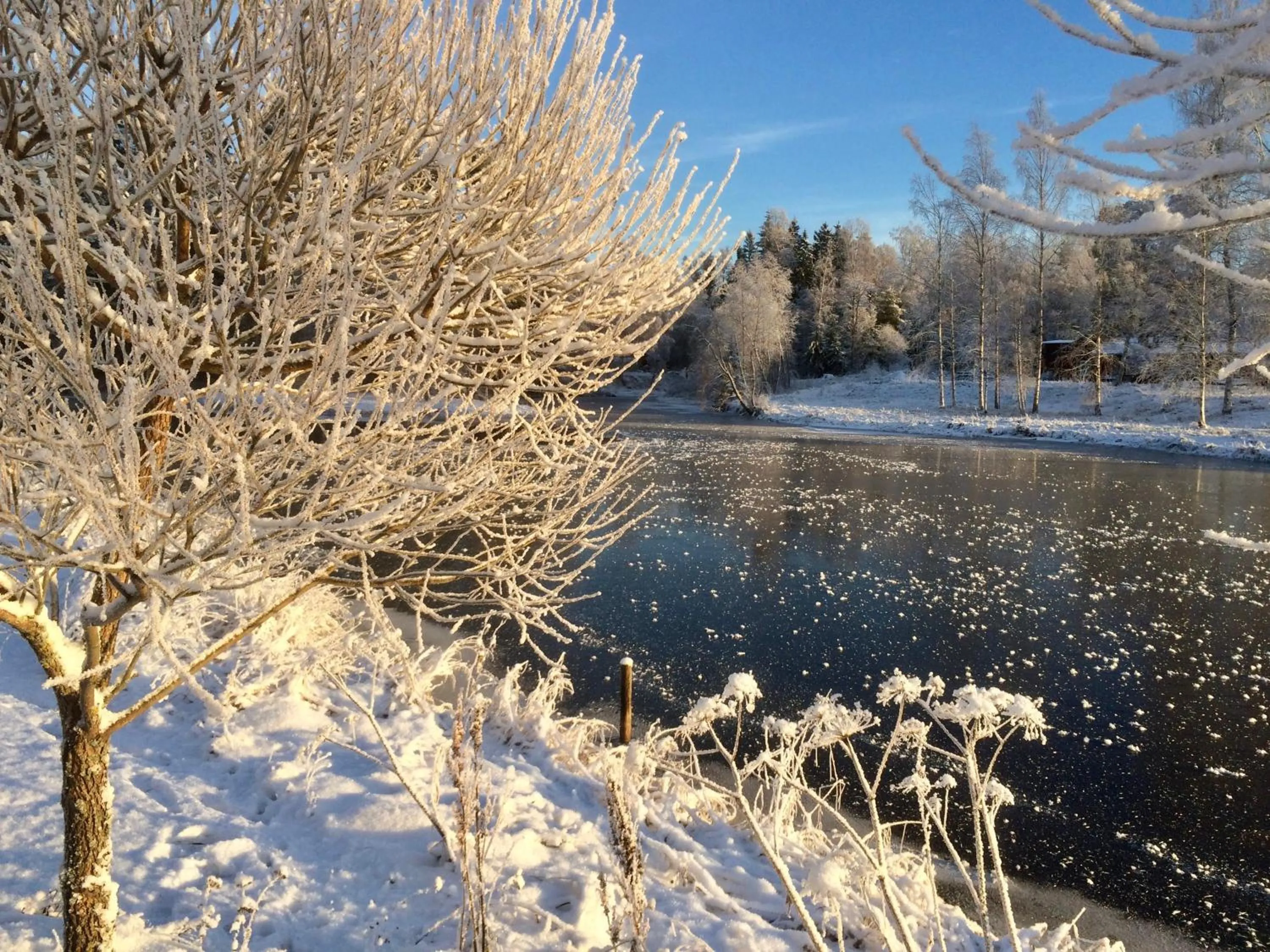 Natural landscape in THE LODGE Torsby
