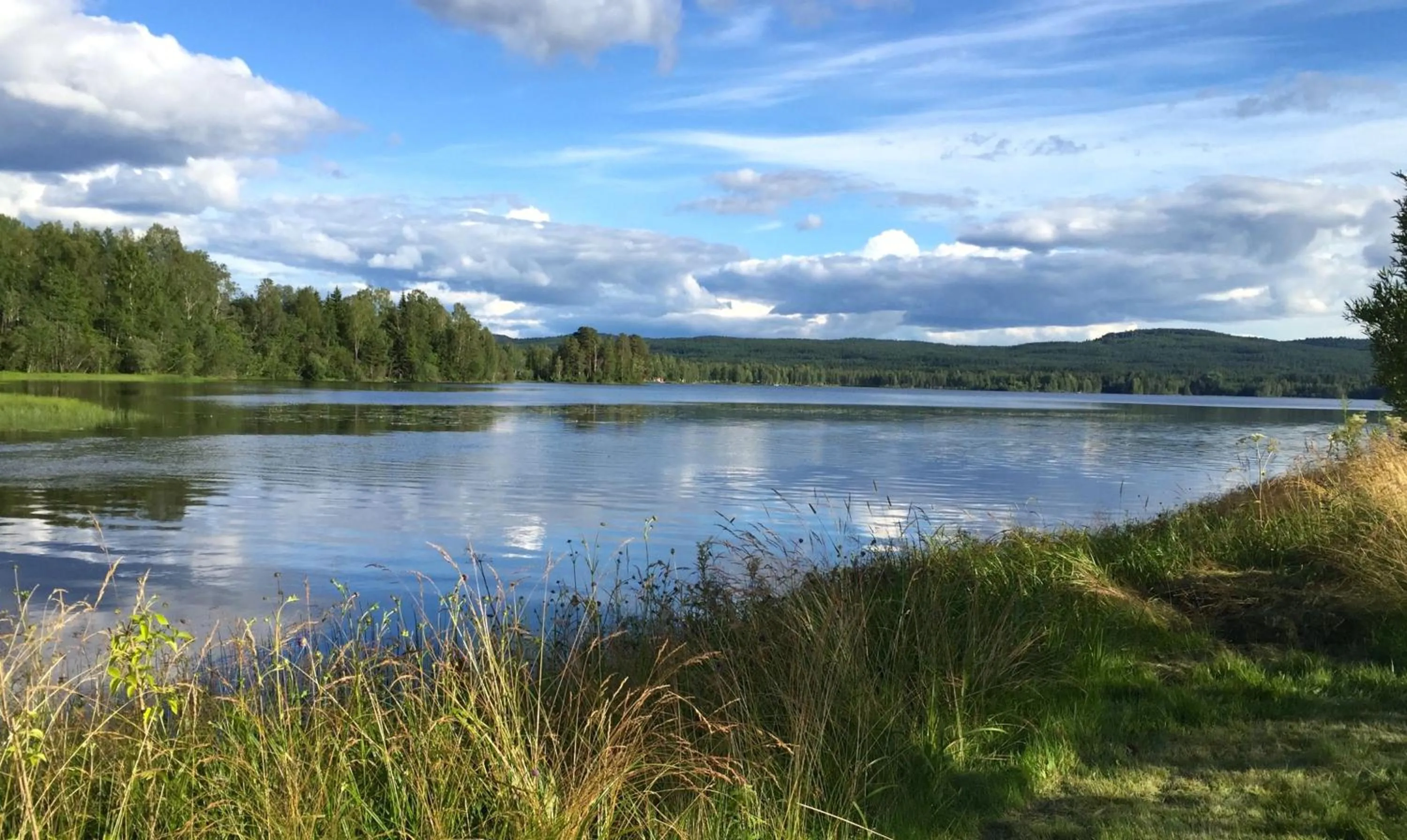 Garden view in THE LODGE Torsby