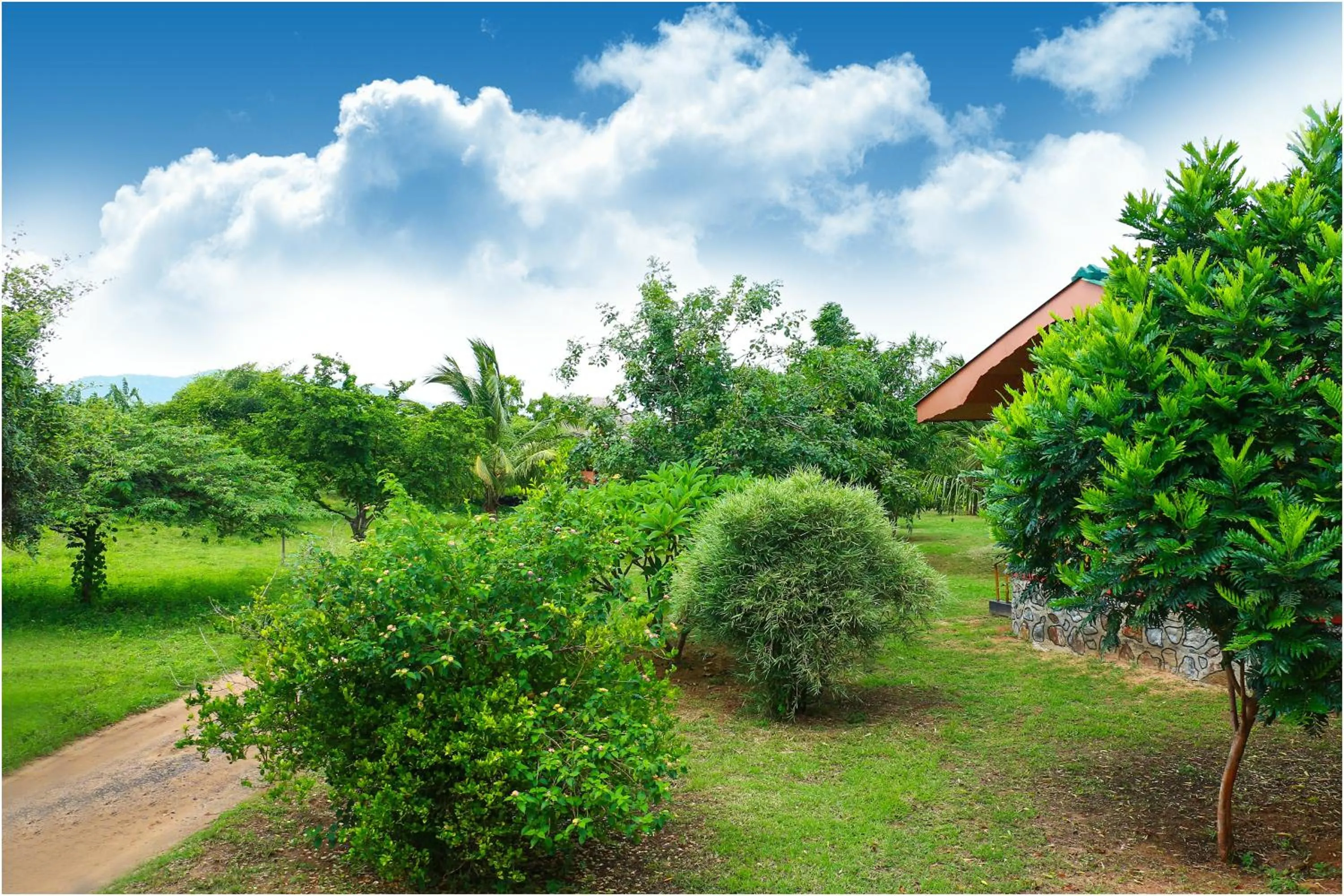 Yala Peace Cottages