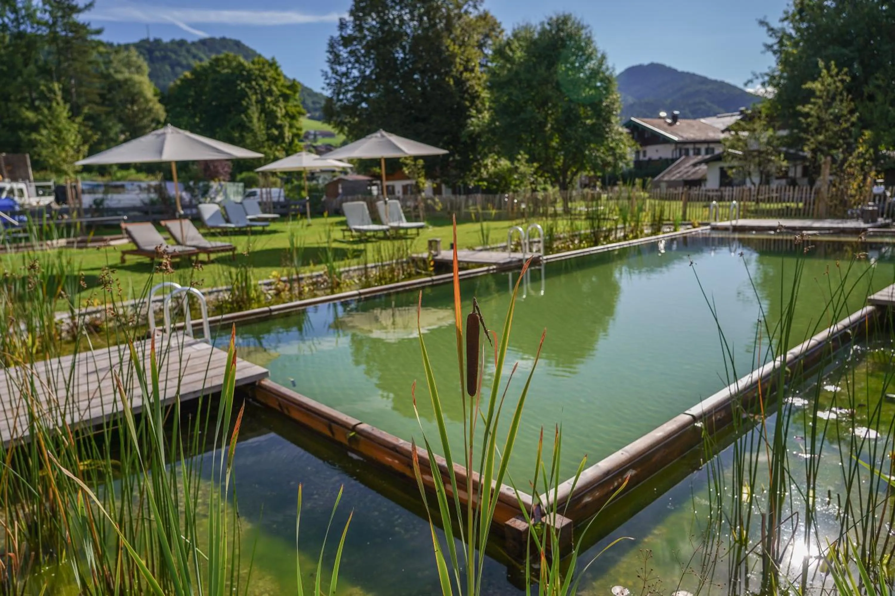 Garden in Beim Nuihausa