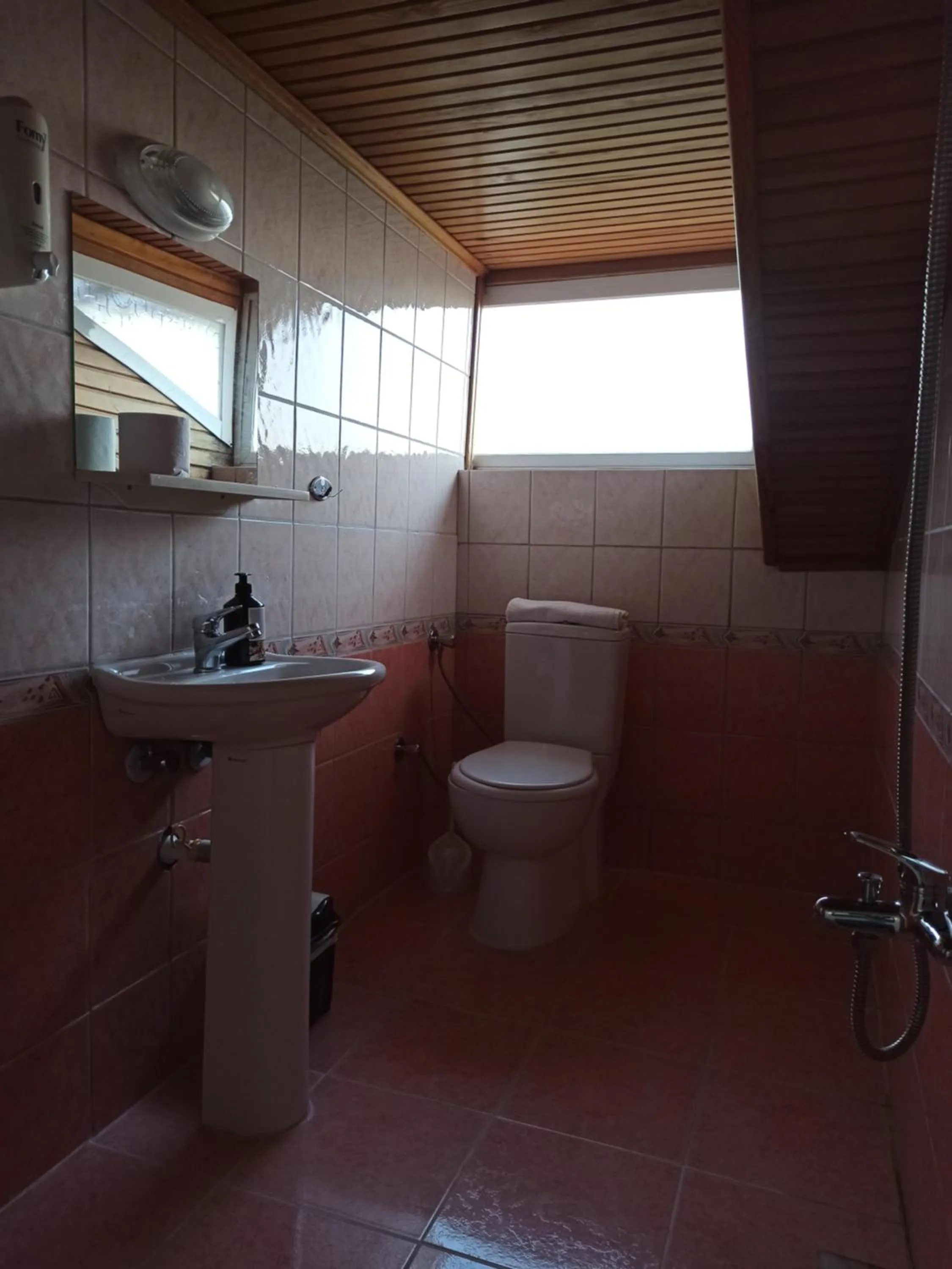 Toilet in Işıl Suit Apart Otel