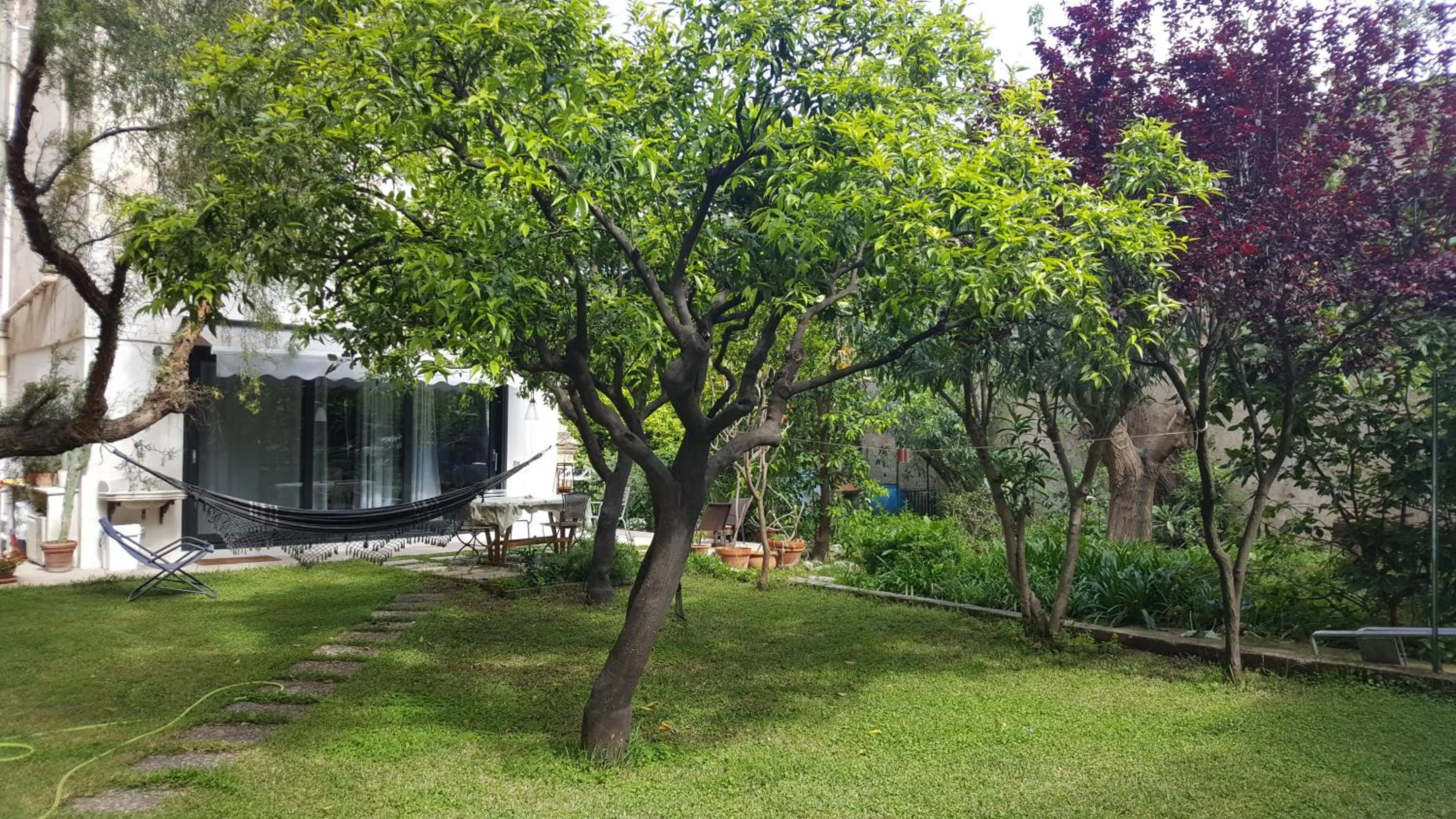 Nel Giardino degli Agrumi