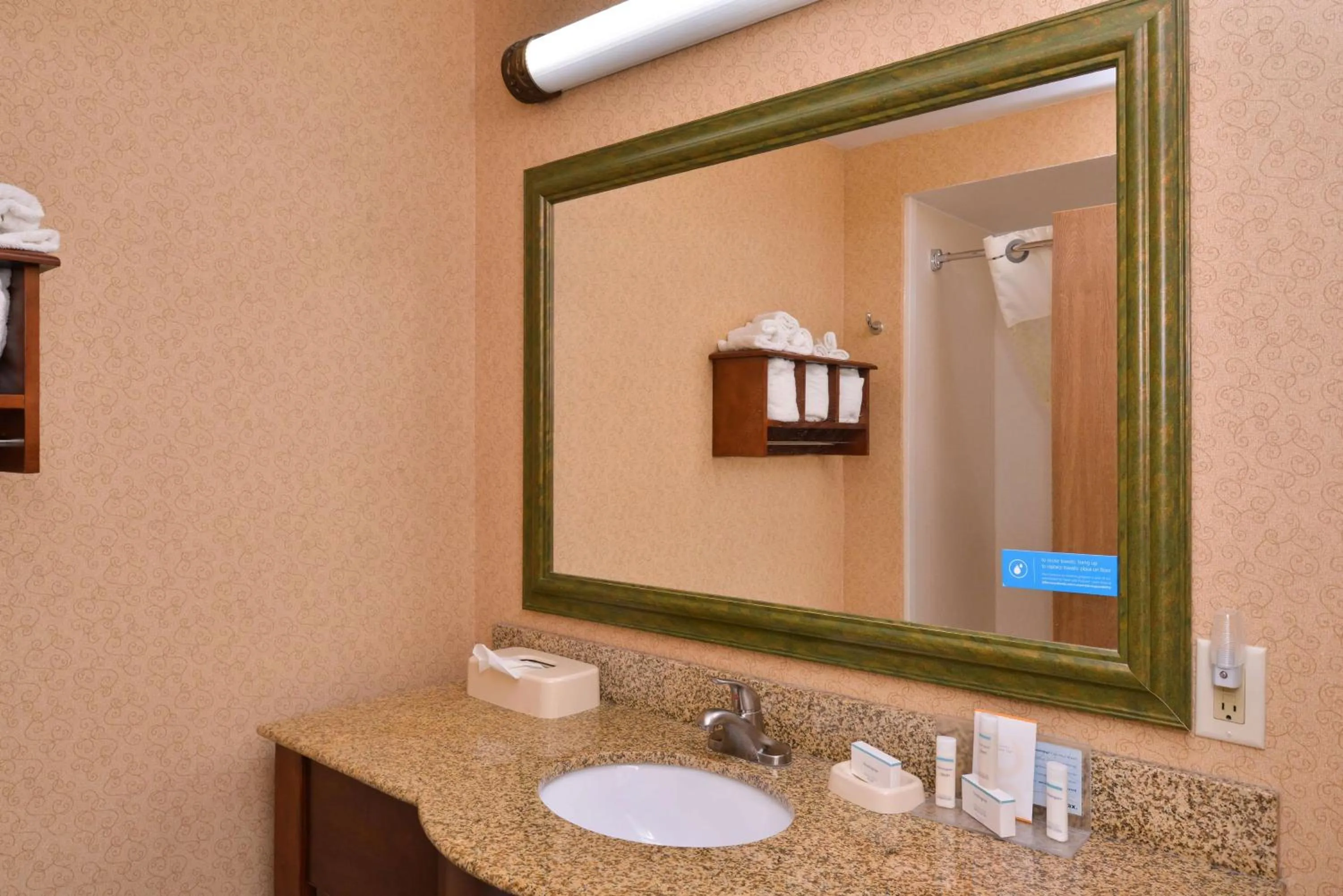 Bathroom in Hampton Inn Elkhart