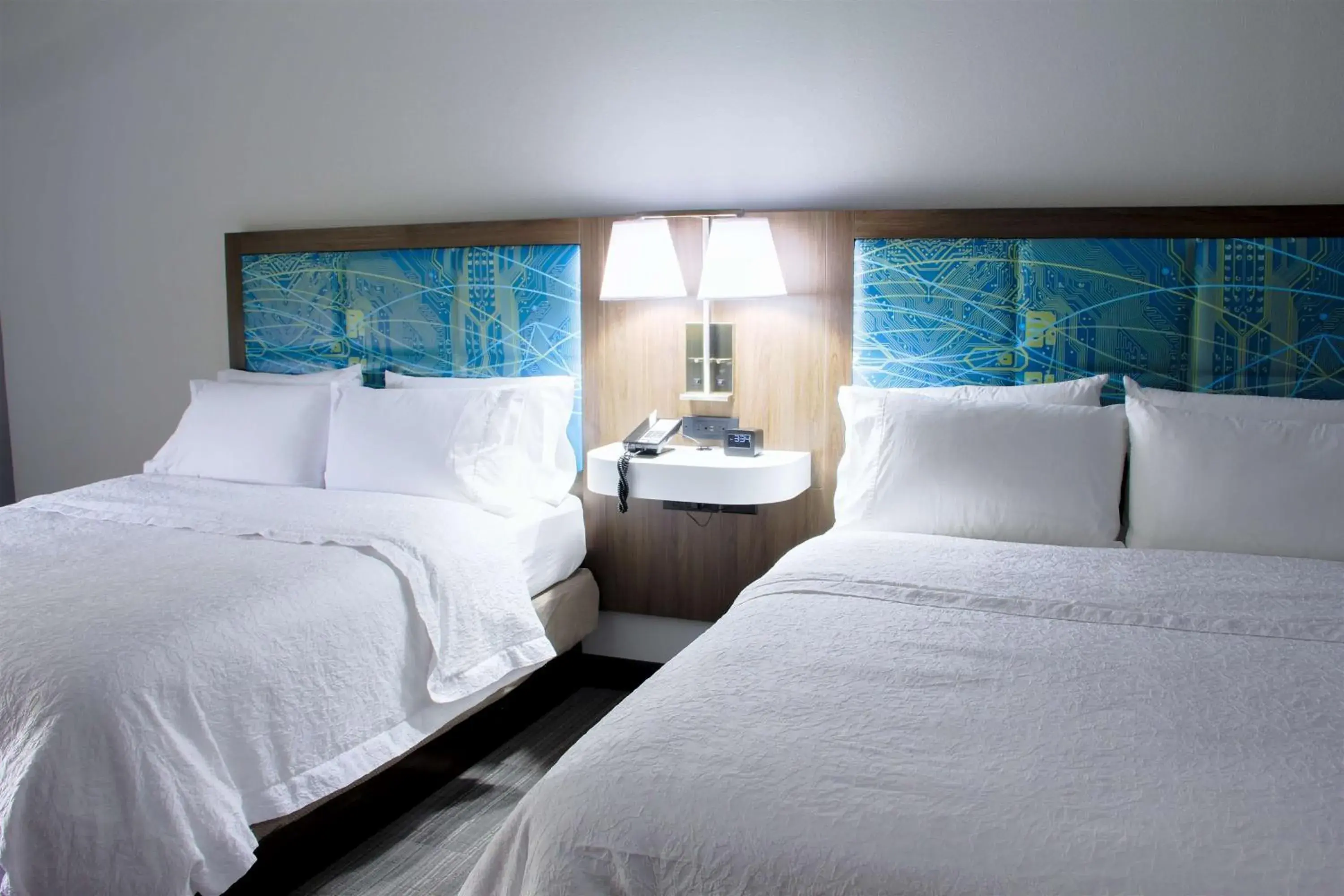 Queen Room with Two Queen Beds - Non-Smoking in Hampton Inn Danville Queen Room with Two Queen Beds - Non-Smoking in Hampton Inn Danville