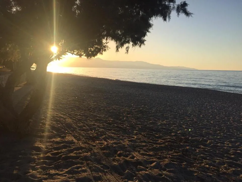 Beach in Electra Studios