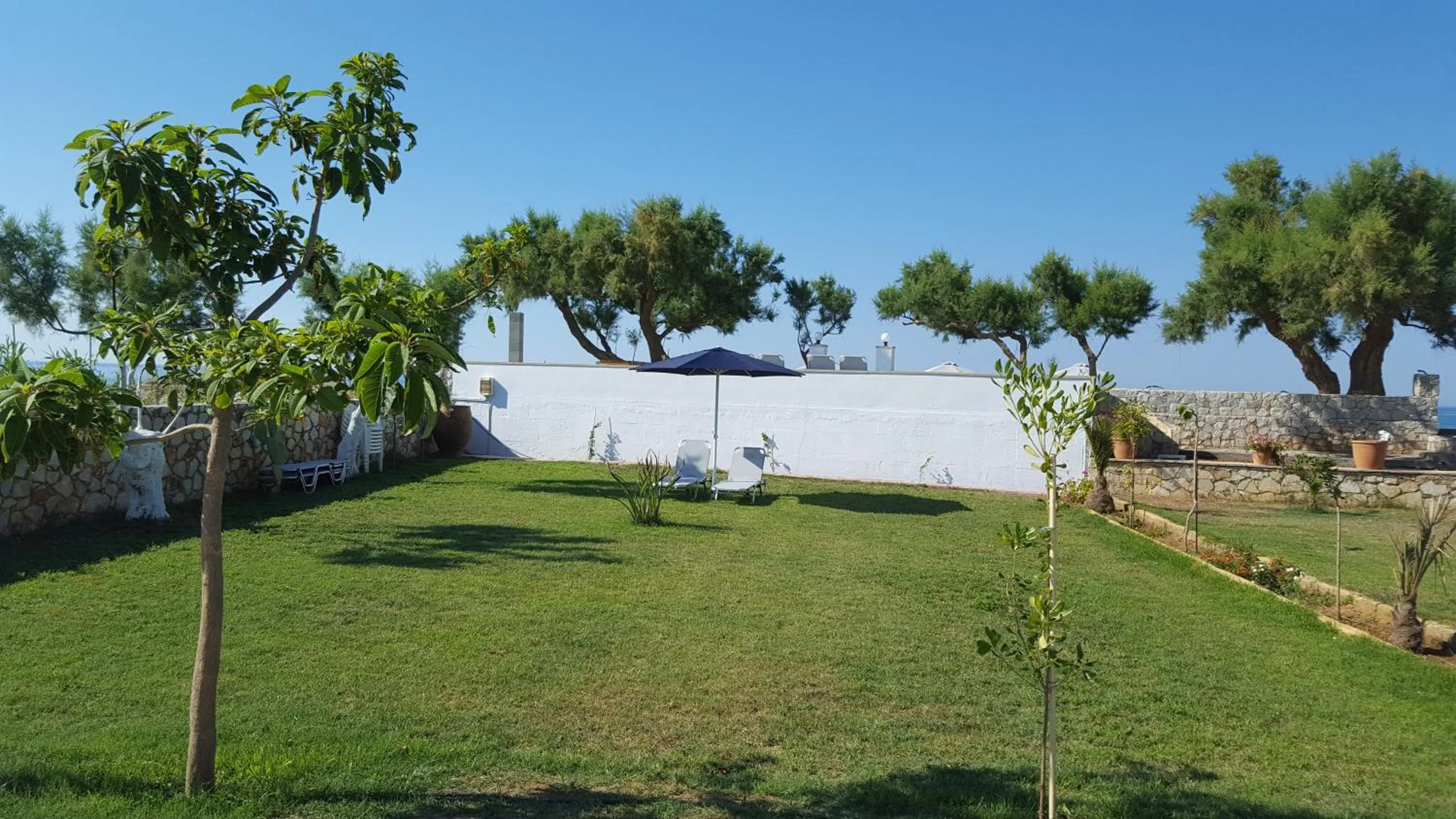 Garden in Electra Studios