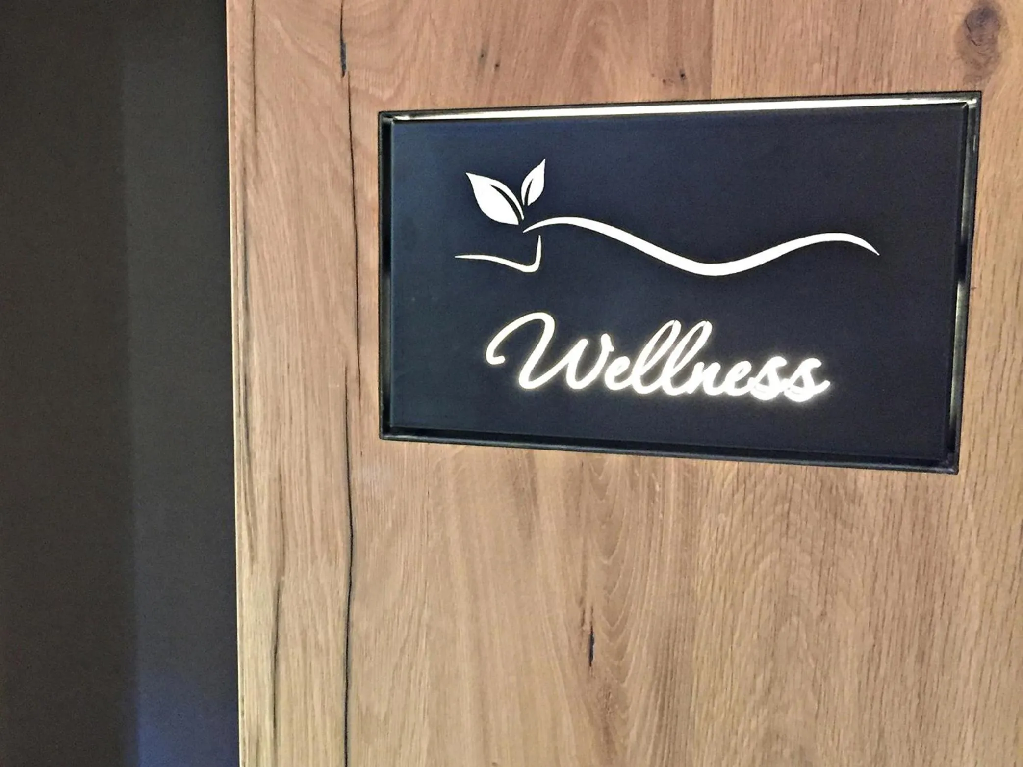 Sauna in Residence Egger