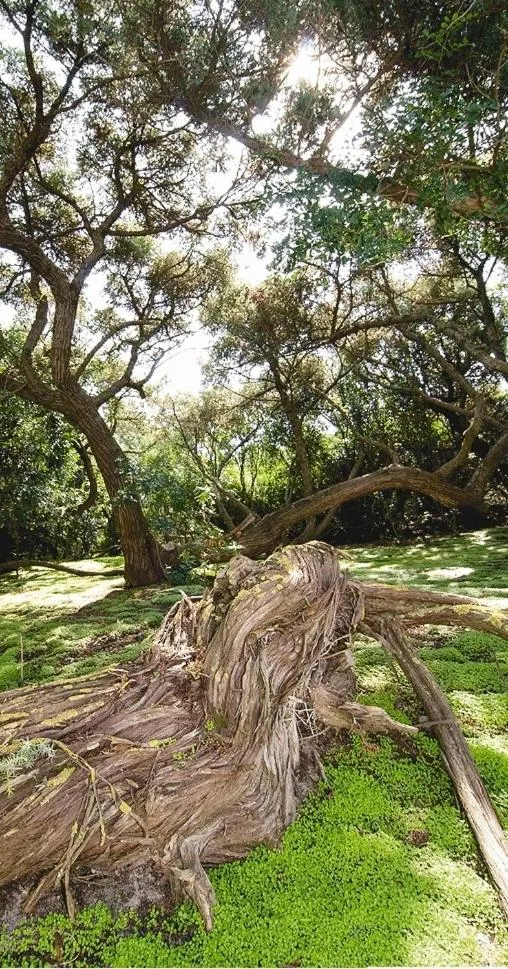 Other in Hotel Stella Del Sud