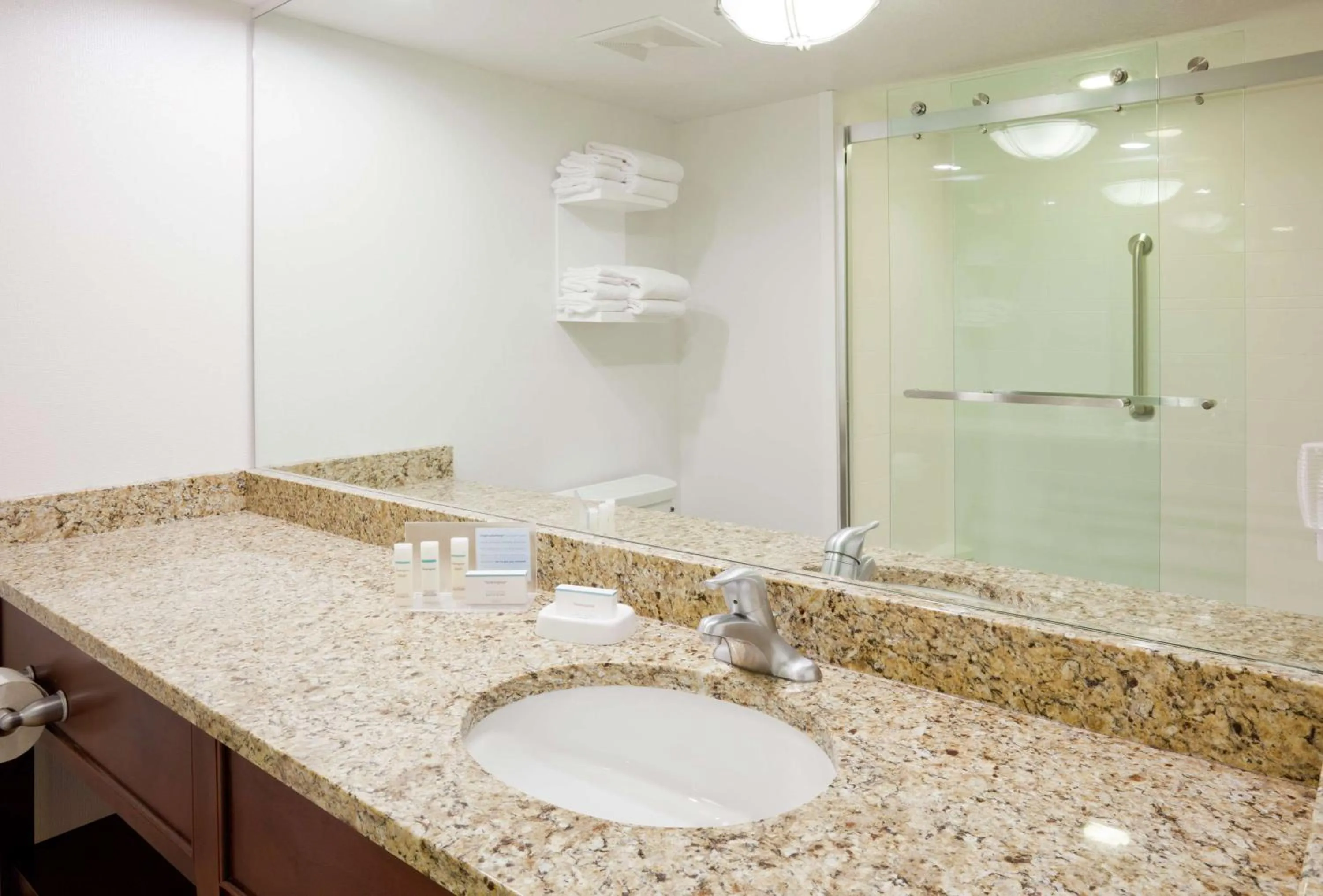 Bathroom in Hampton Inn Duluth-Canal Park