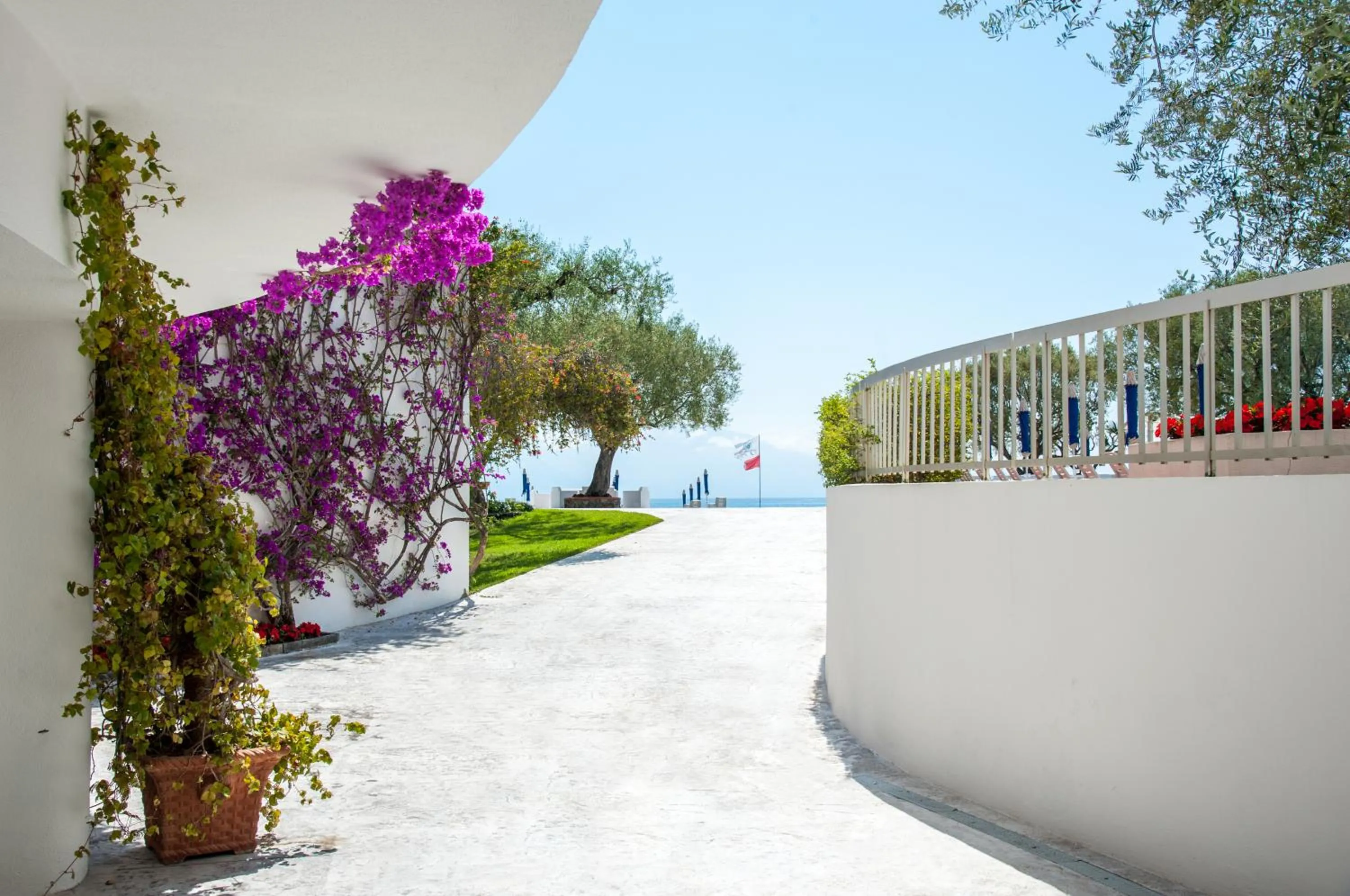 Patio in Hotel Torre Oliva