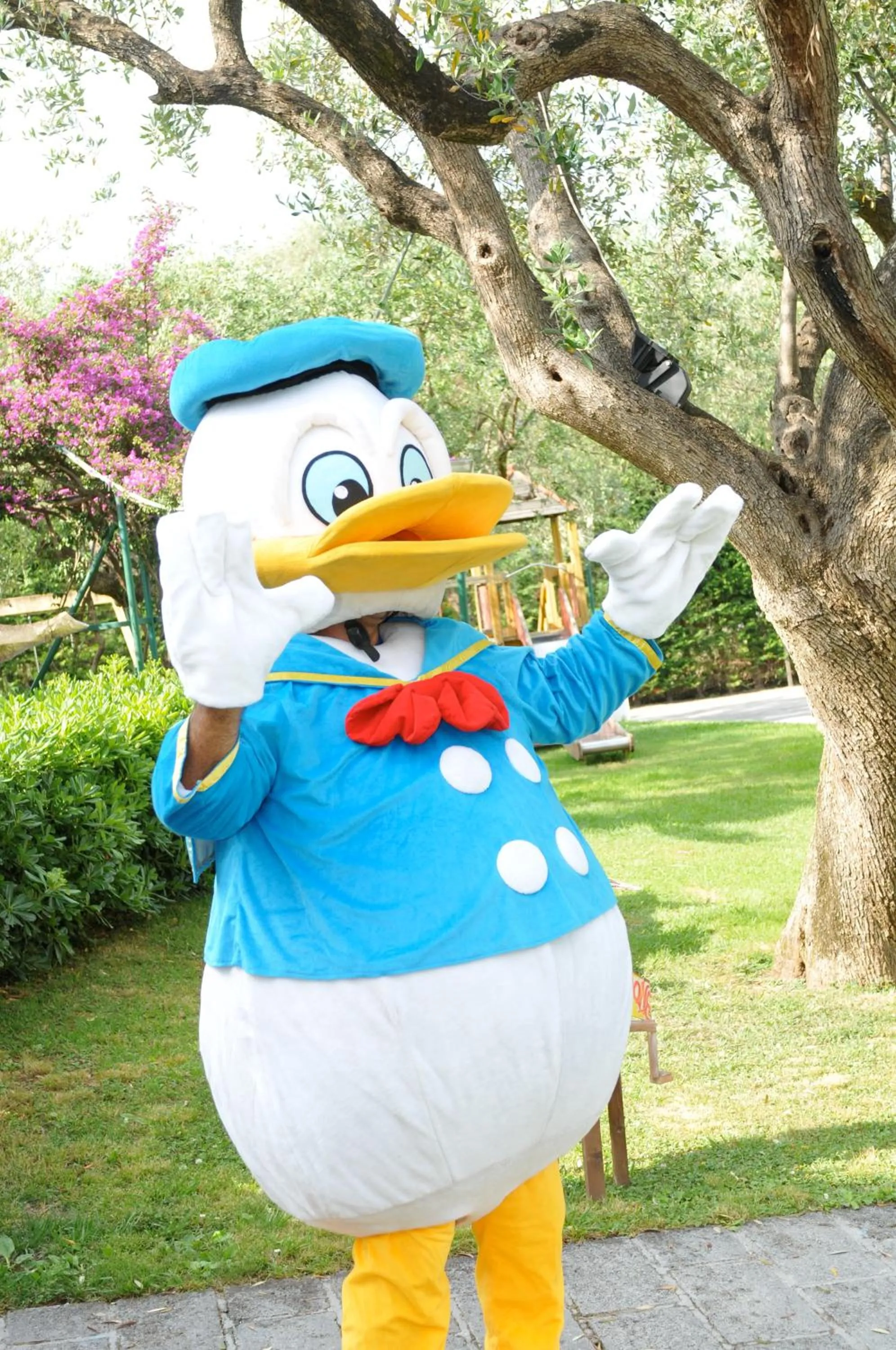 Kids's club in Hotel Torre Oliva