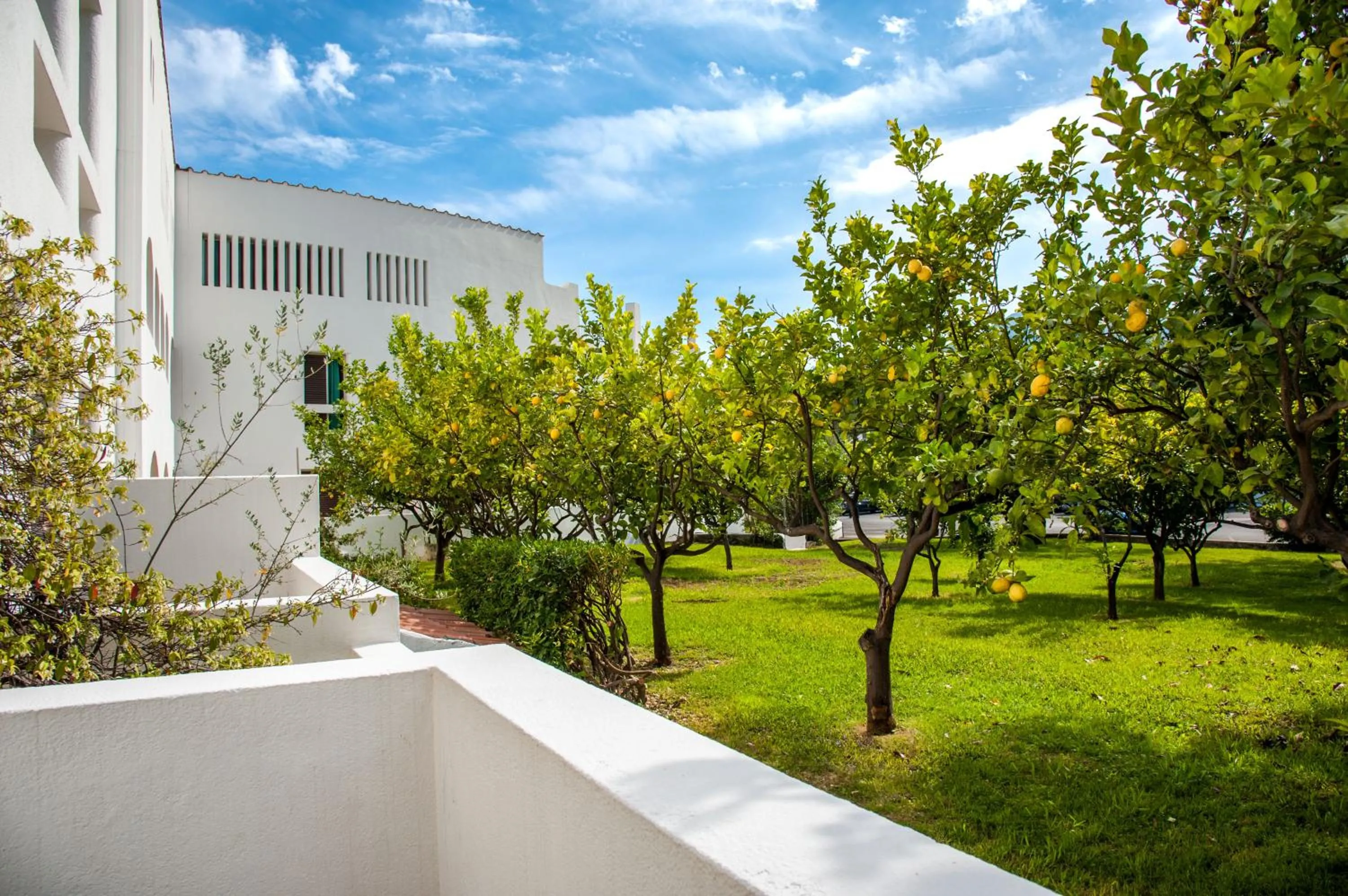 Garden view in Hotel Torre Oliva