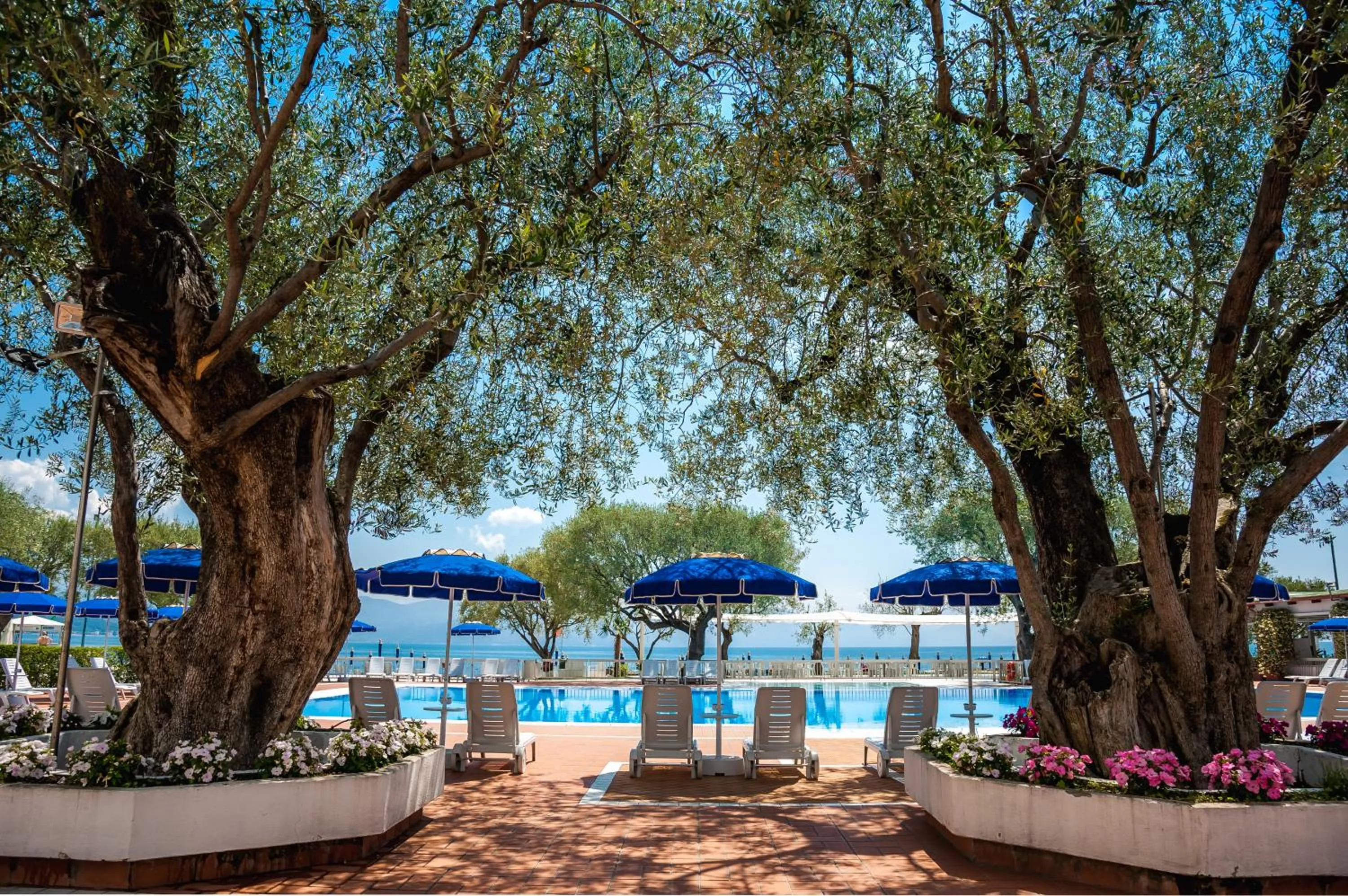 Pool view in Hotel Torre Oliva